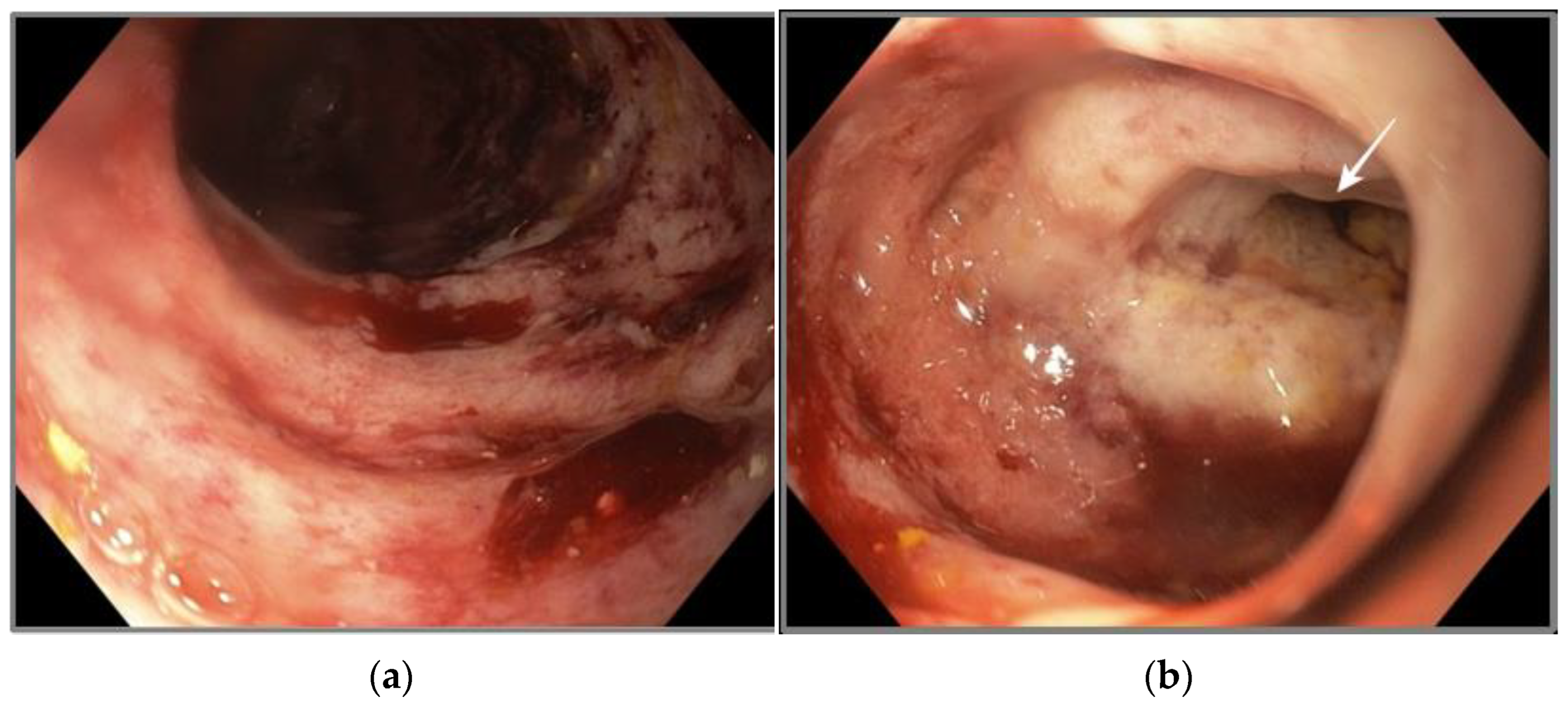 Pathogens 12 00530 g001 Pathogens 12 00530 g001