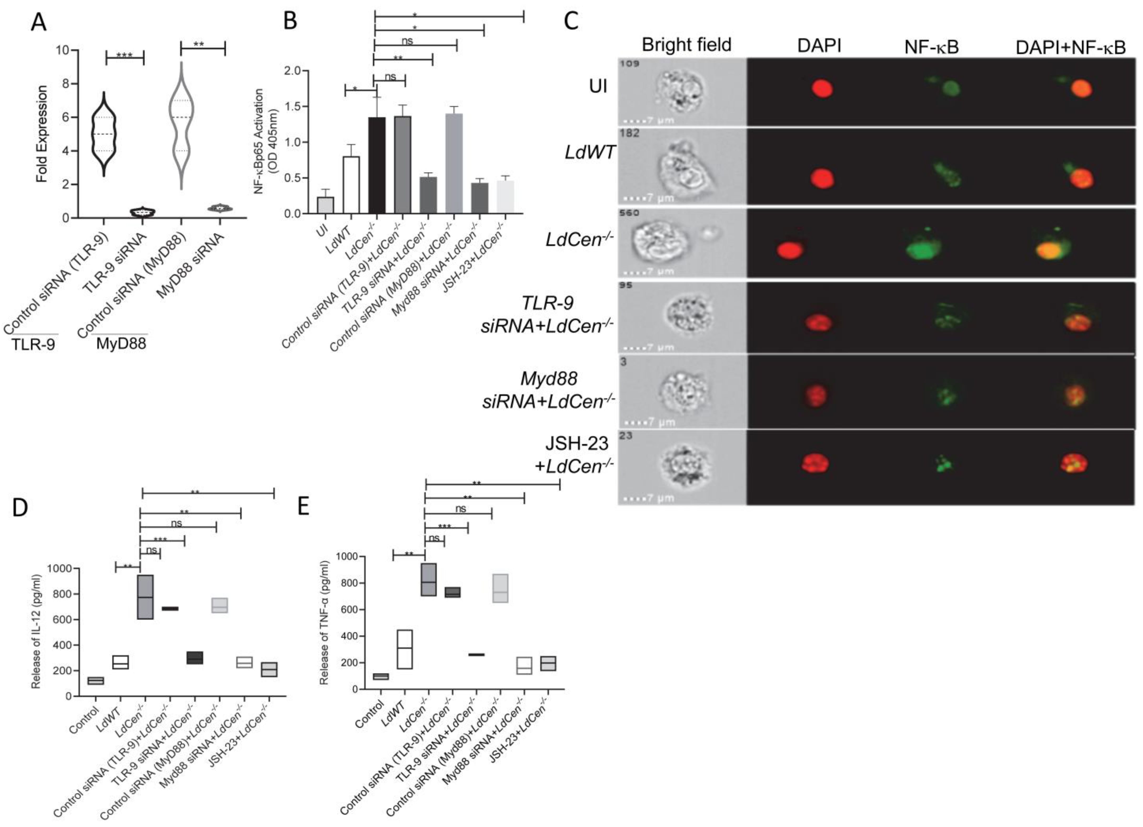 Pathogens 12 00534 g002 Pathogens 12 00534 g002