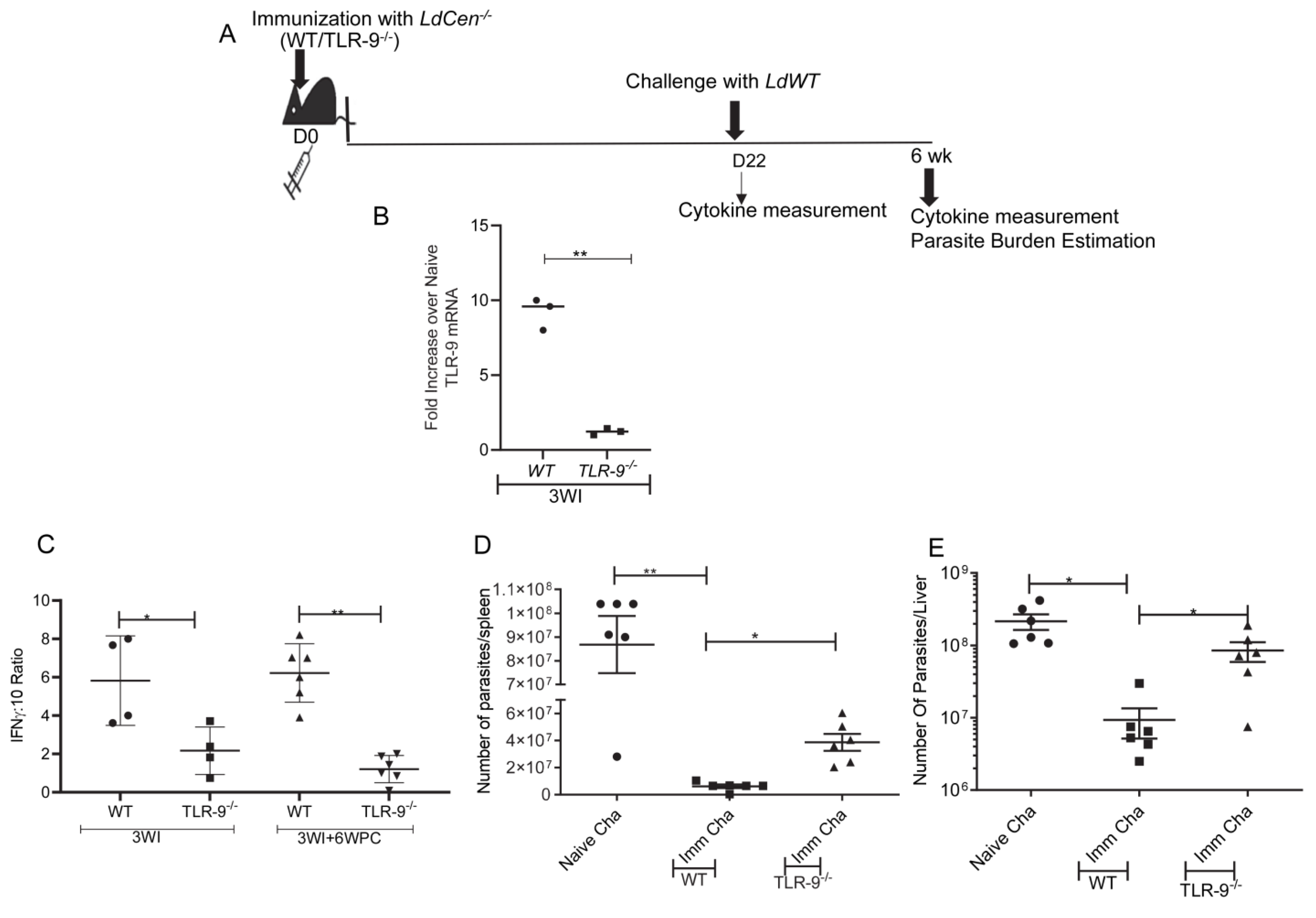 Pathogens 12 00534 g005 Pathogens 12 00534 g005