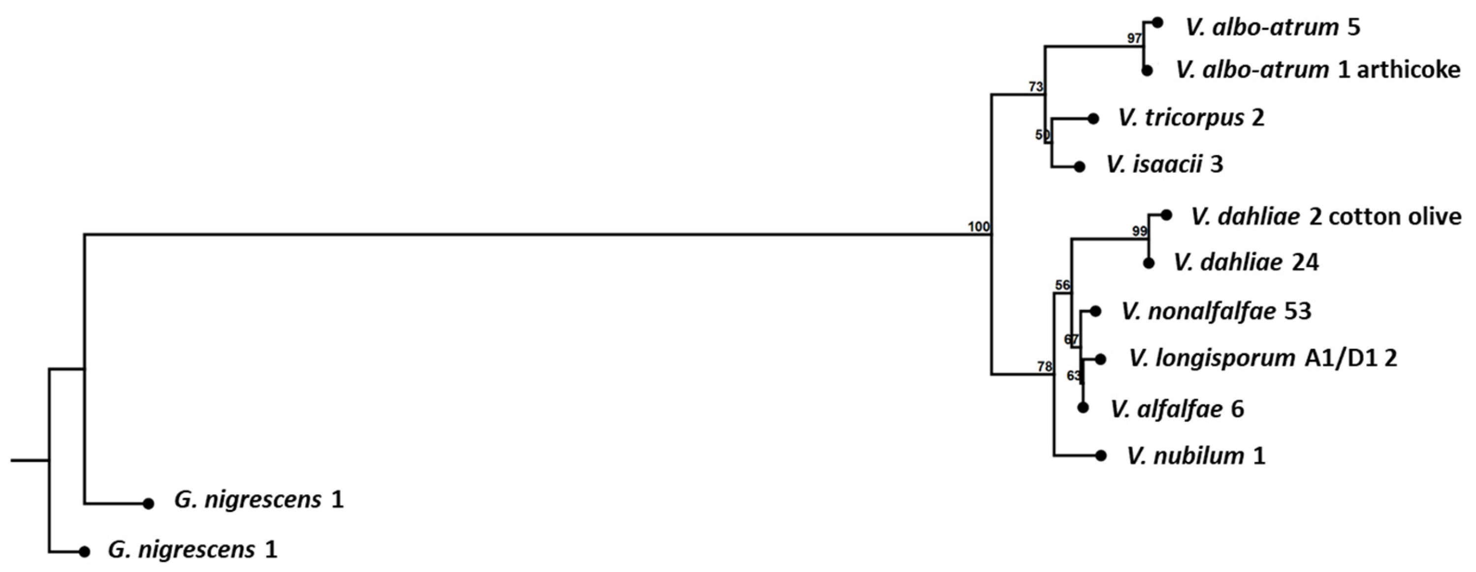 Pathogens 12 00535 g001