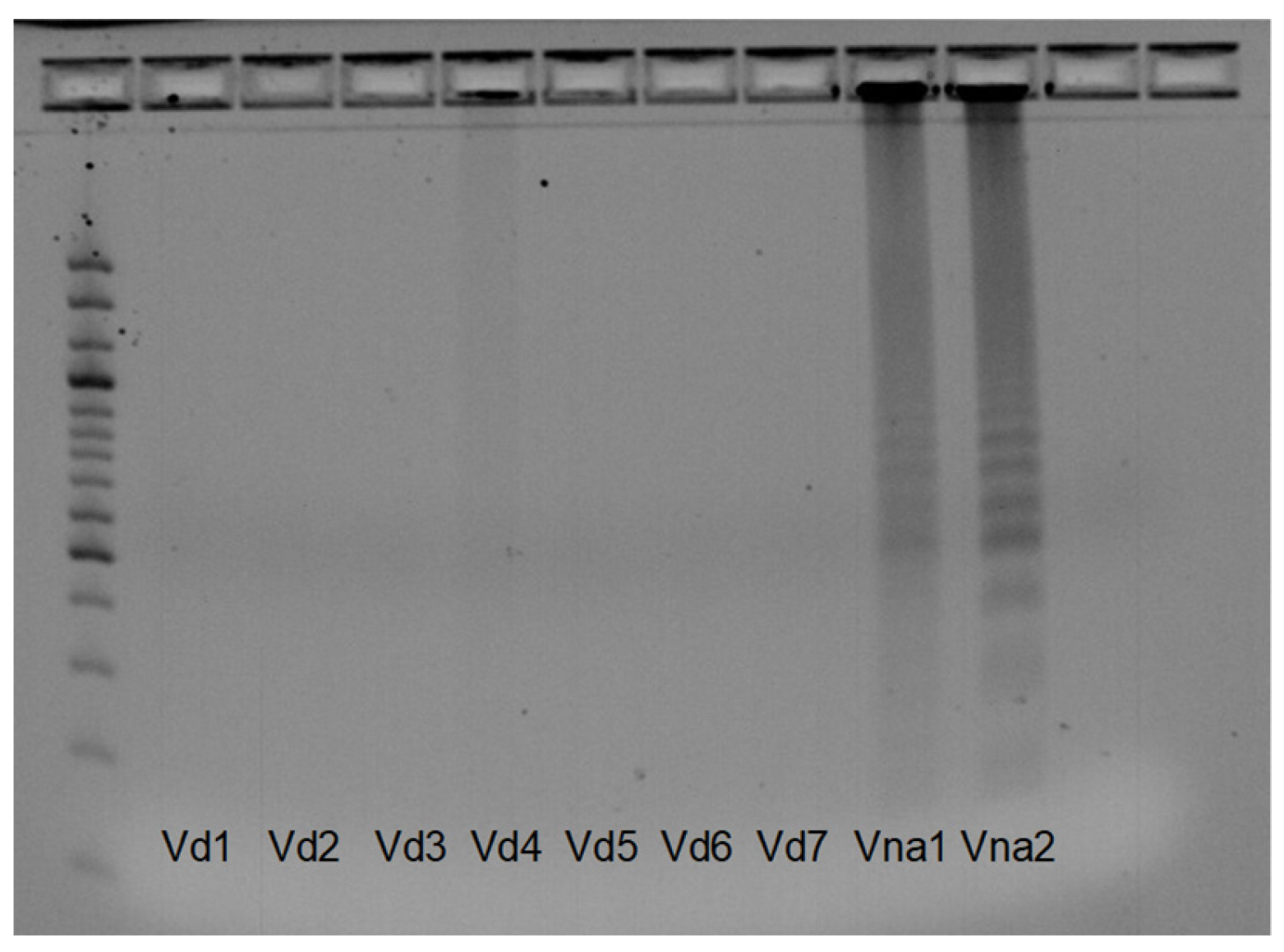 Pathogens 12 00535 g003