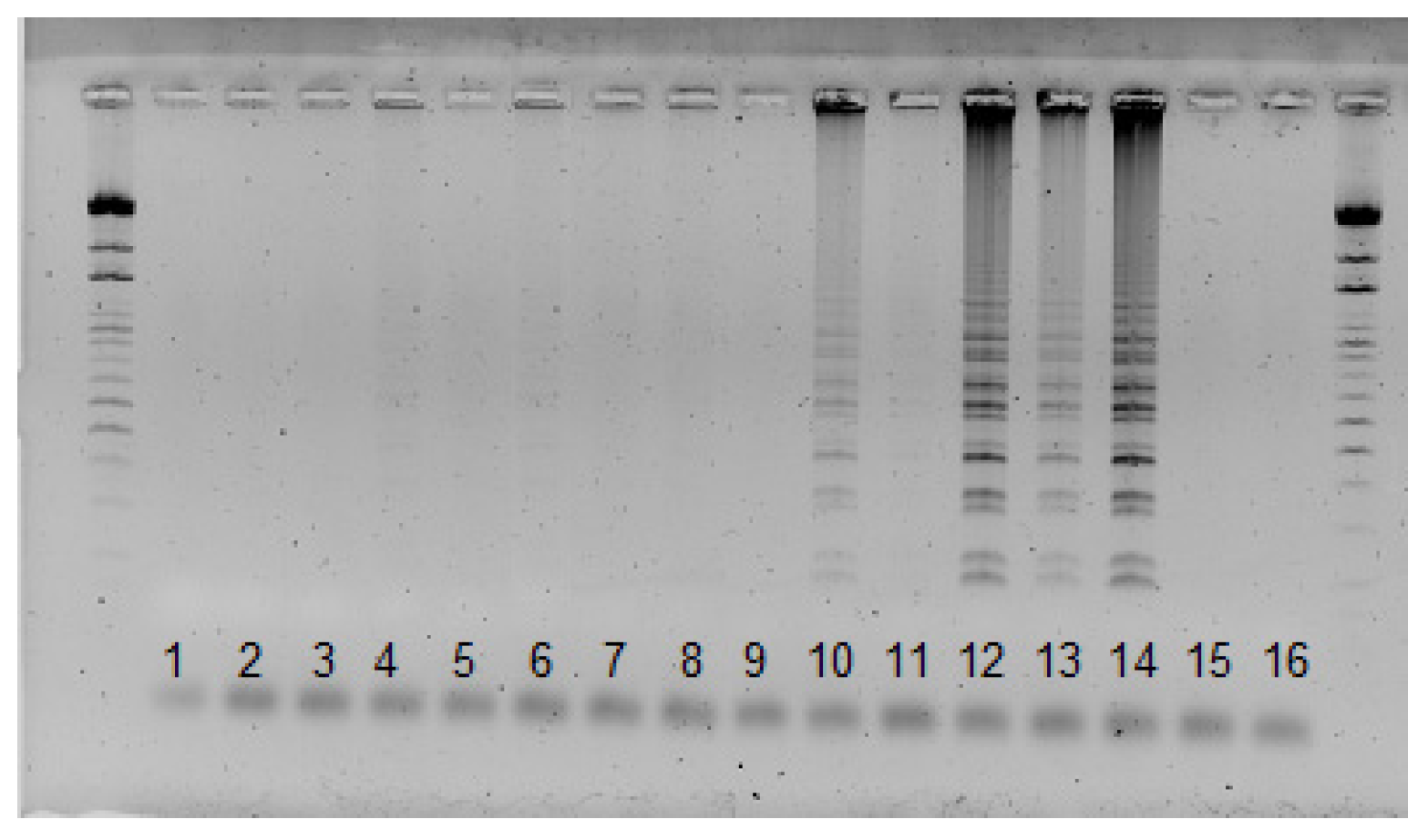 Pathogens 12 00535 g004