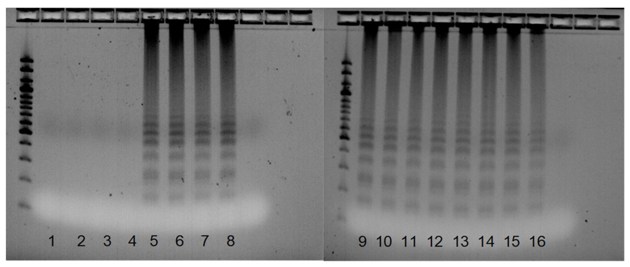 Pathogens 12 00535 g005
