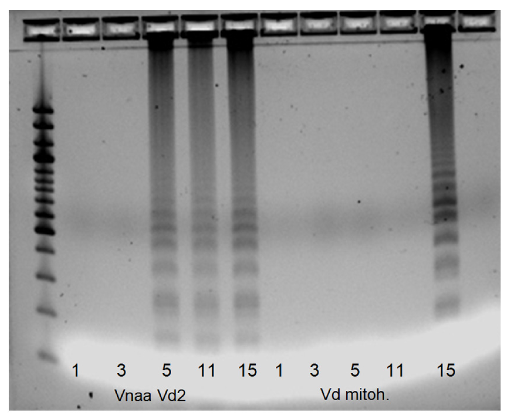 Pathogens 12 00535 g006