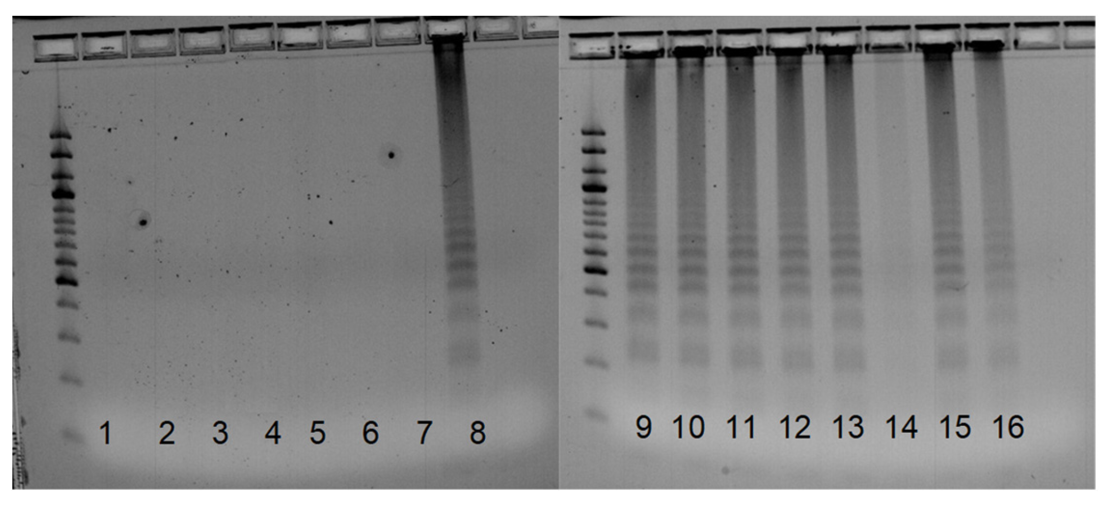 Pathogens 12 00535 g007