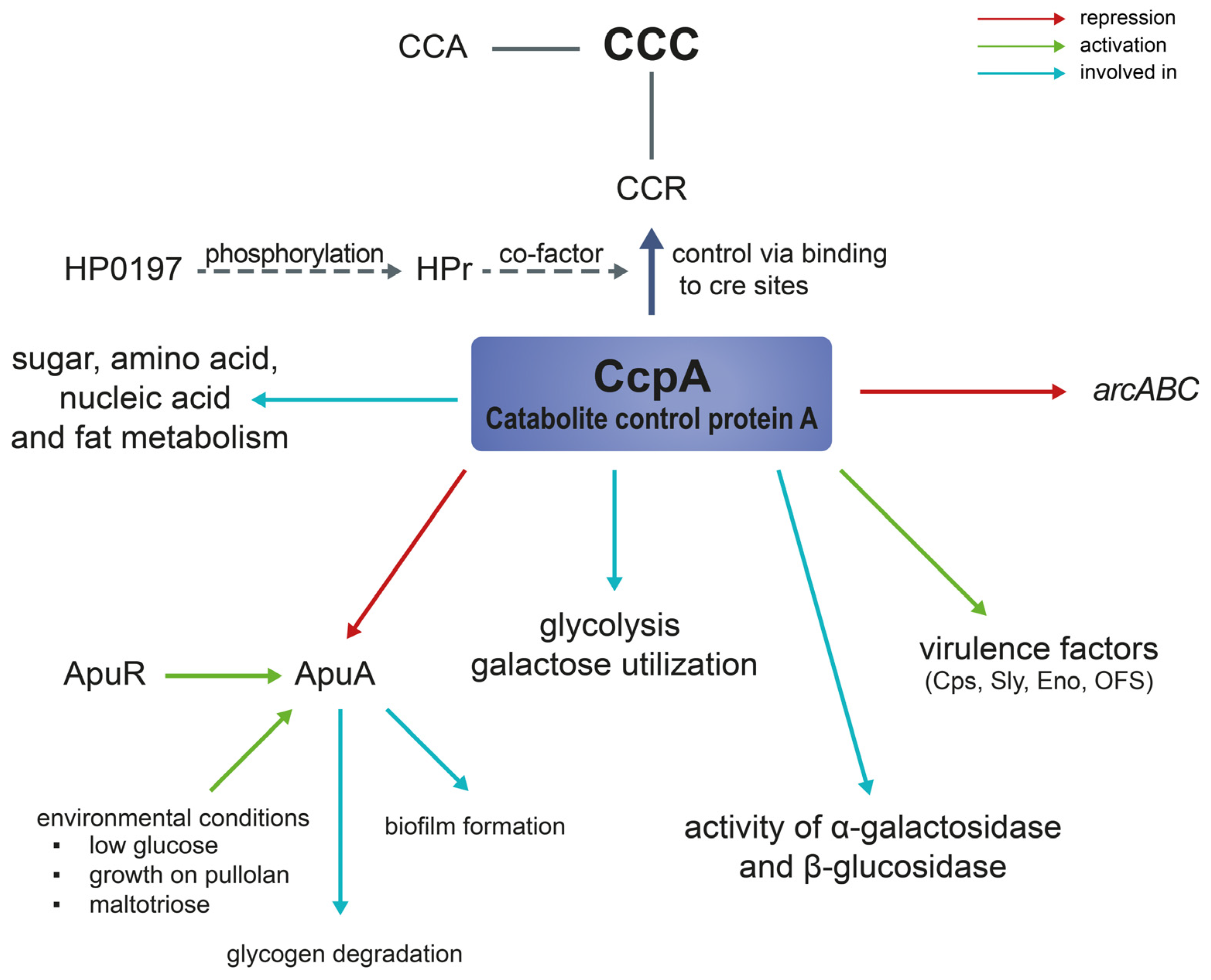 Pathogens 12 00541 g002 Pathogens 12 00541 g002