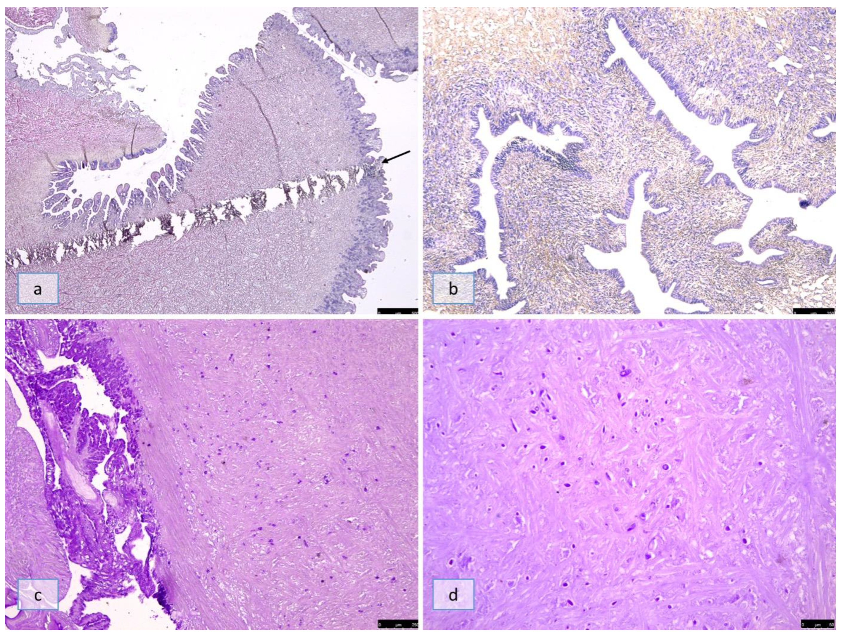 Pathogens 12 00542 g001 Pathogens 12 00542 g001