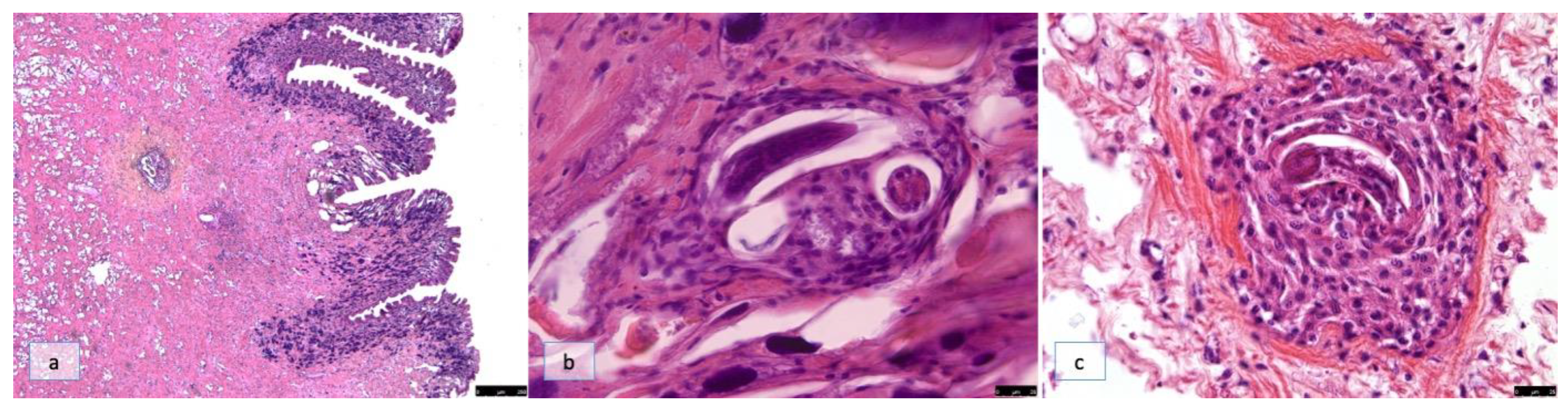 Pathogens 12 00542 g002 Pathogens 12 00542 g002