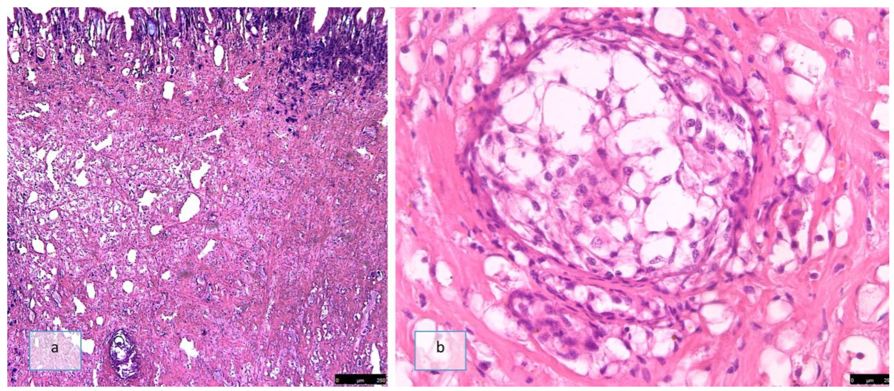 Pathogens 12 00542 g003 Pathogens 12 00542 g003