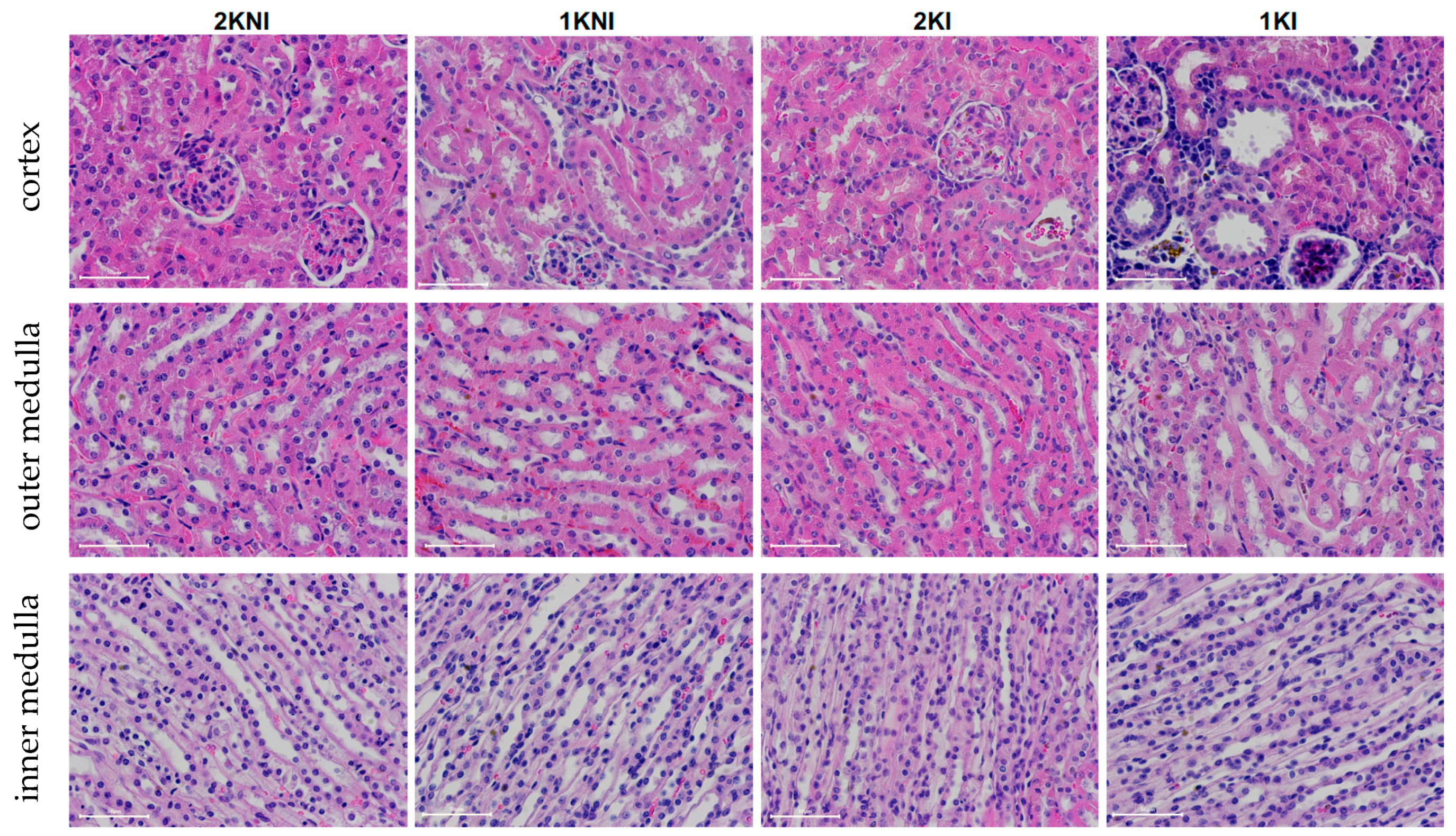 Pathogens 12 00545 g005