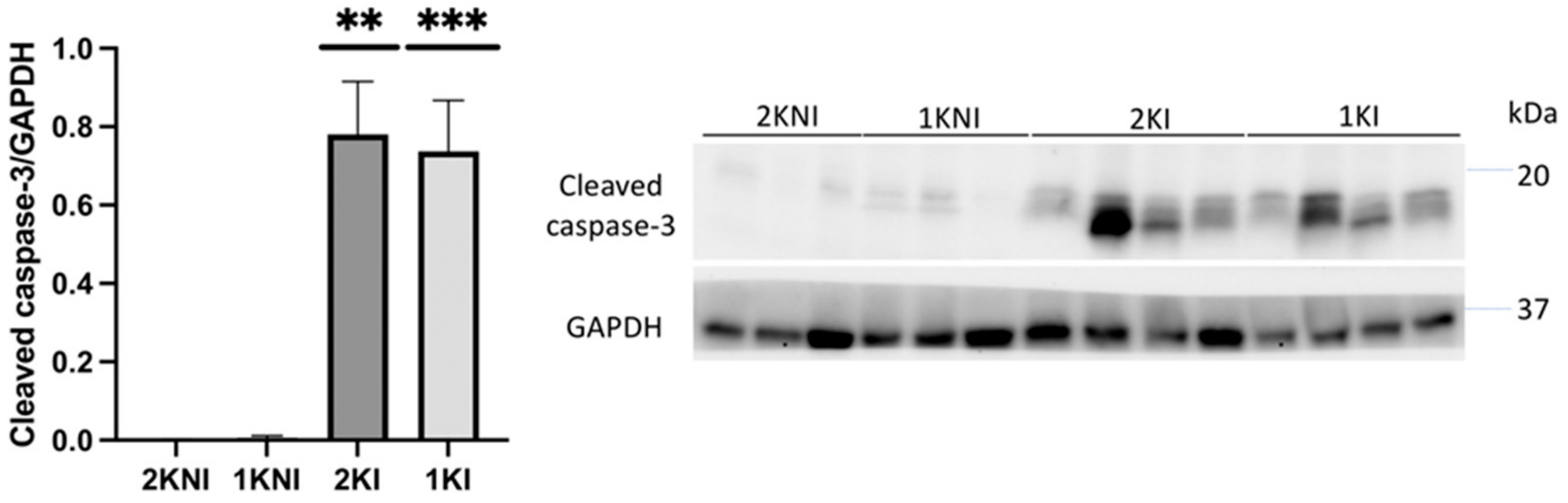Pathogens 12 00545 g006