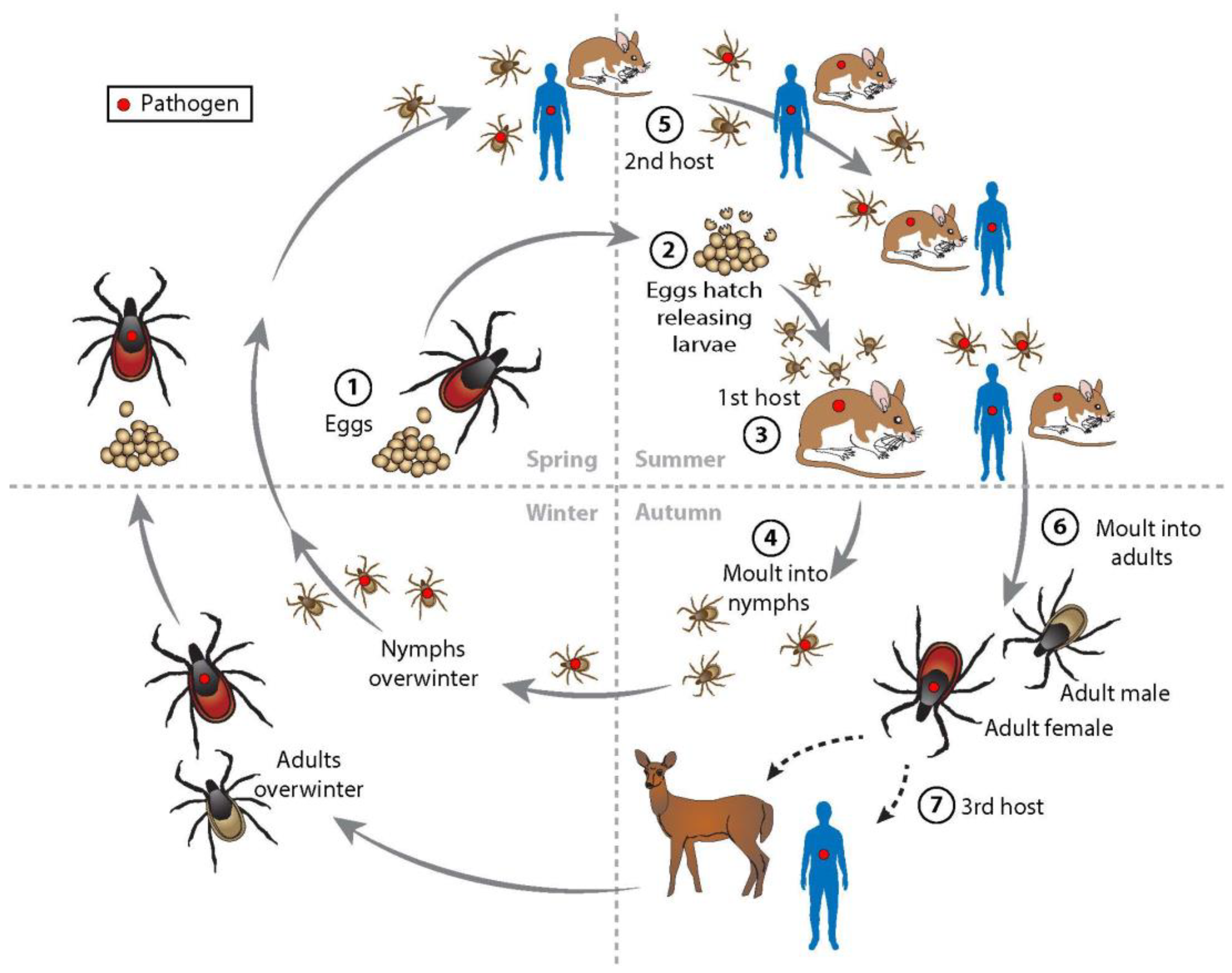 Pathogens 12 00553 g001