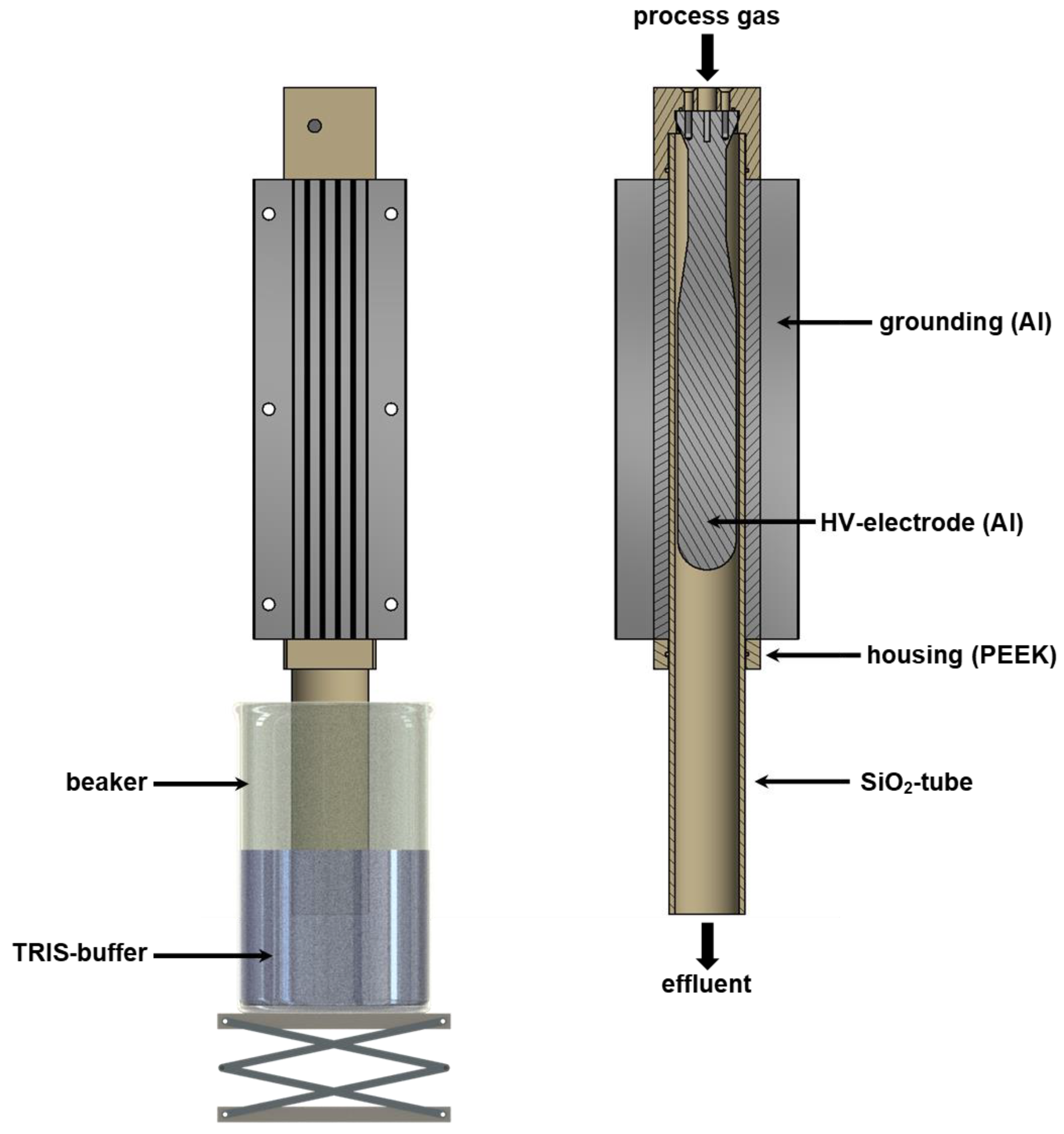 Pathogens 12 00560 g002 Pathogens 12 00560 g002
