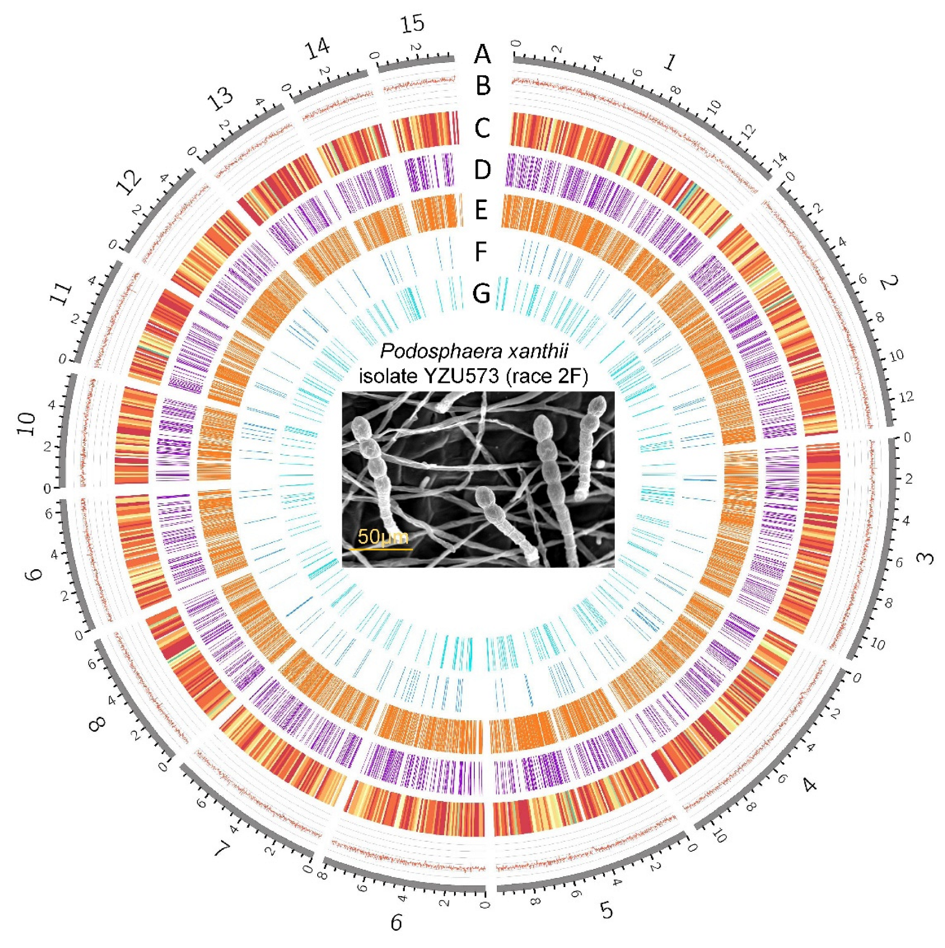 Pathogens 12 00561 g001 Pathogens 12 00561 g001