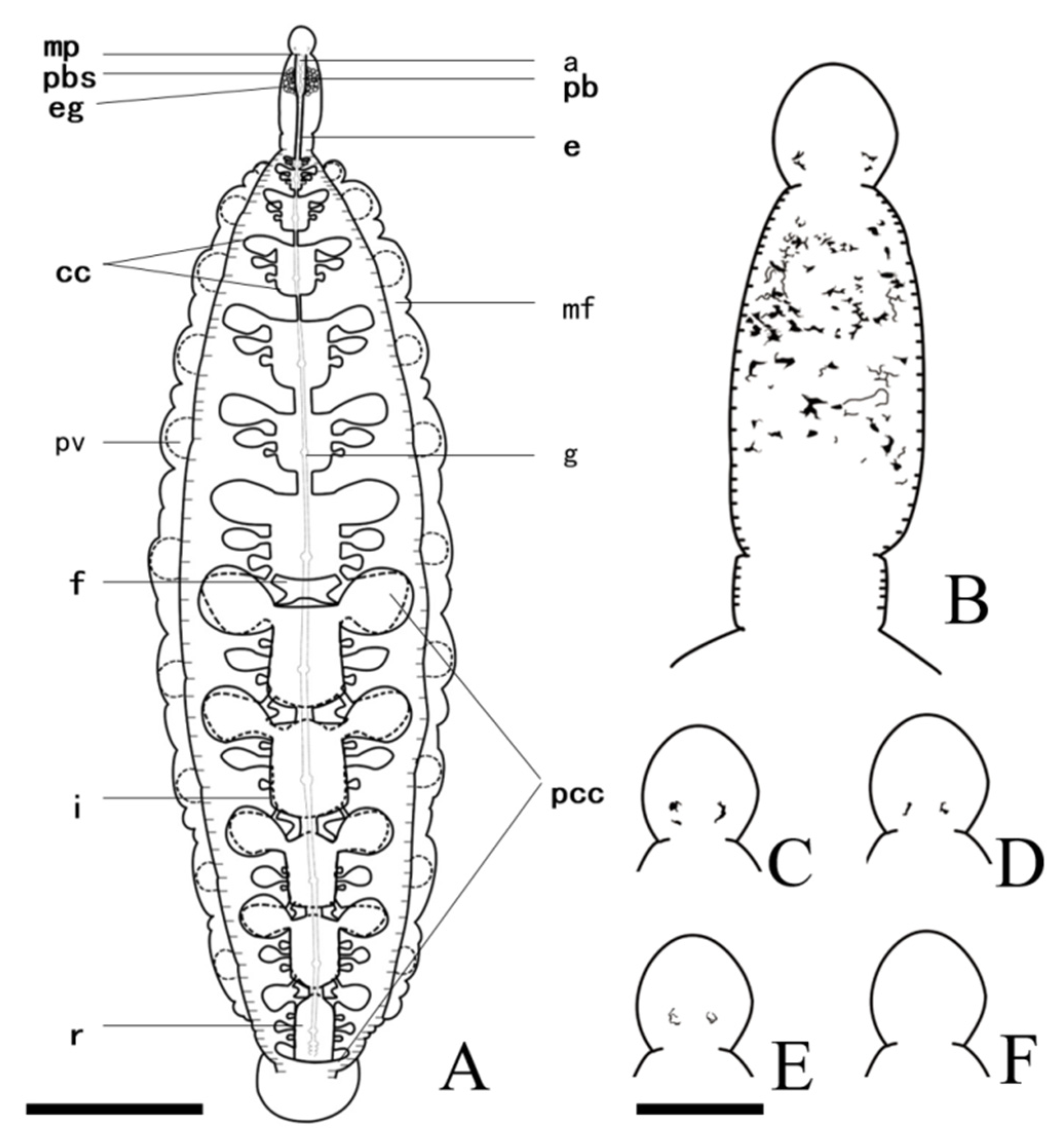 Pathogens 12 00562 g002 Pathogens 12 00562 g002