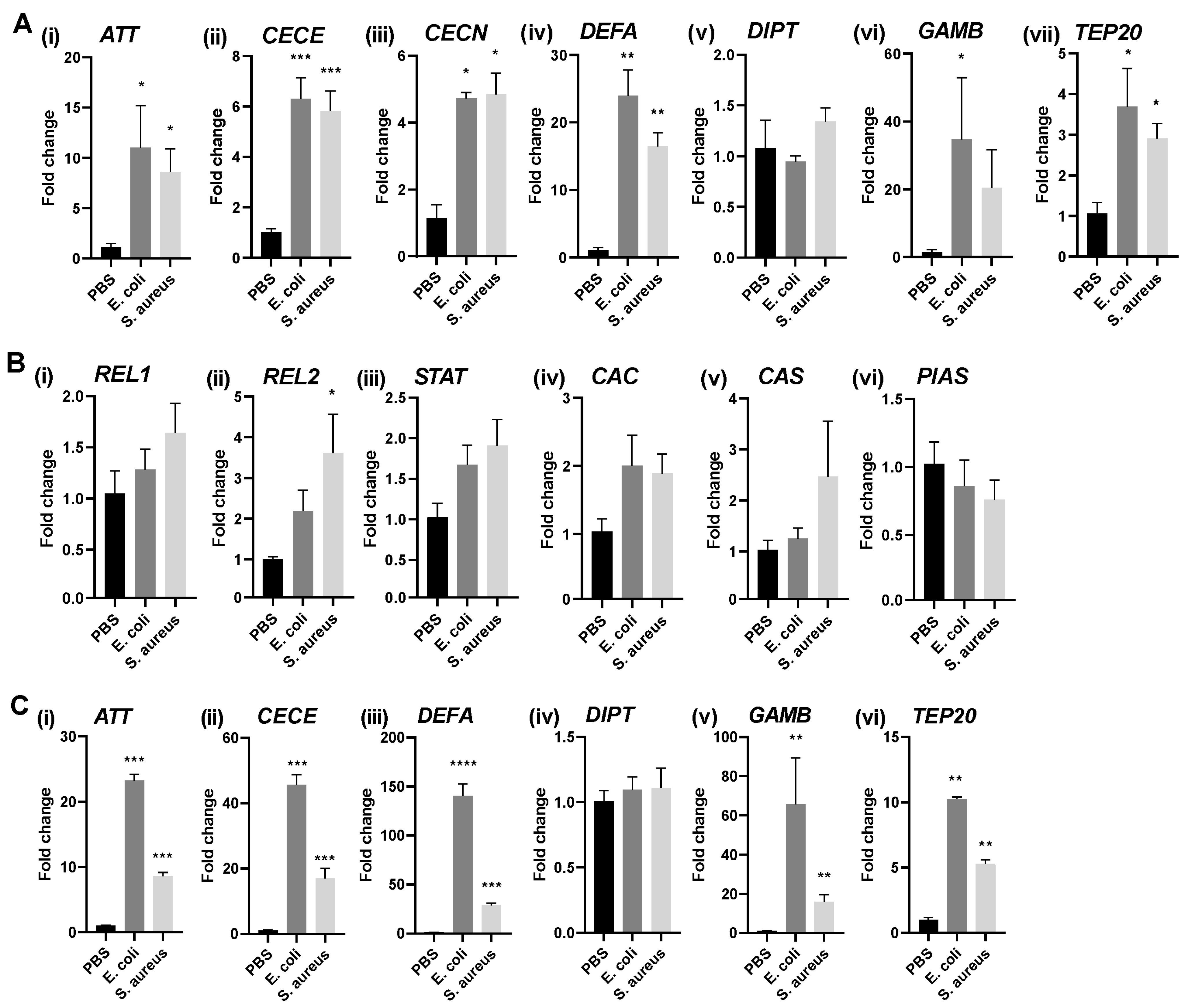 Pathogens 12 00563 g002