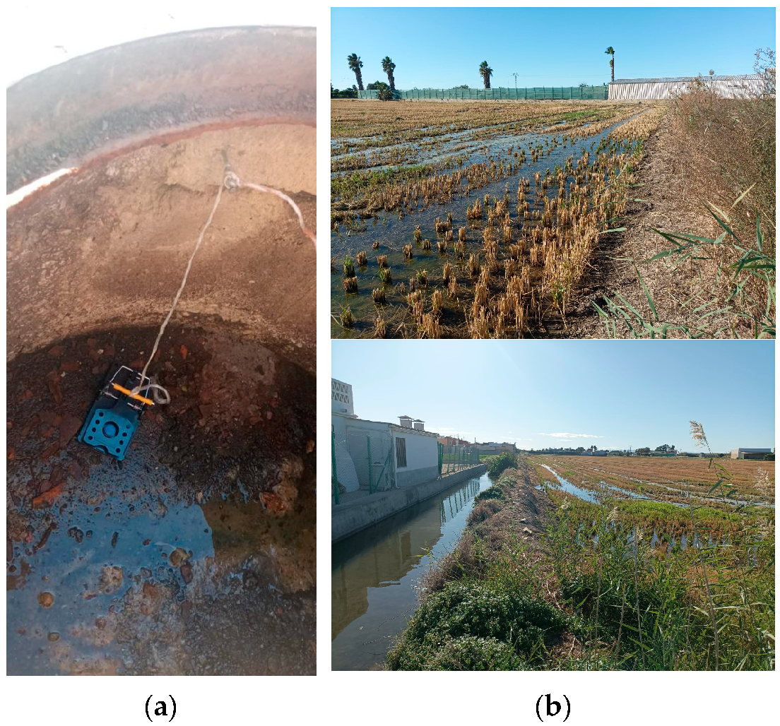 Pathogens 12 00567 g001