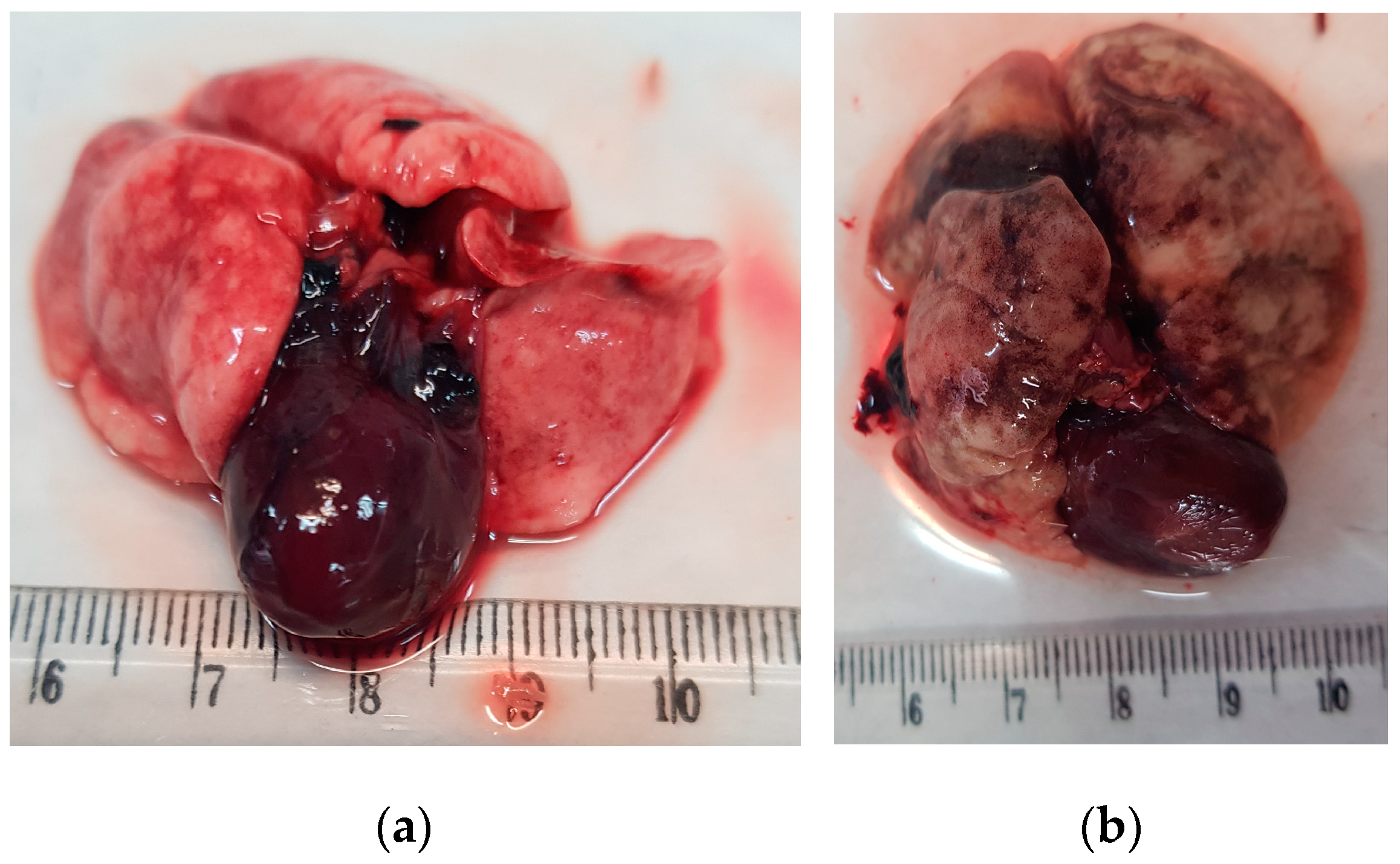 Pathogens 12 00567 g004