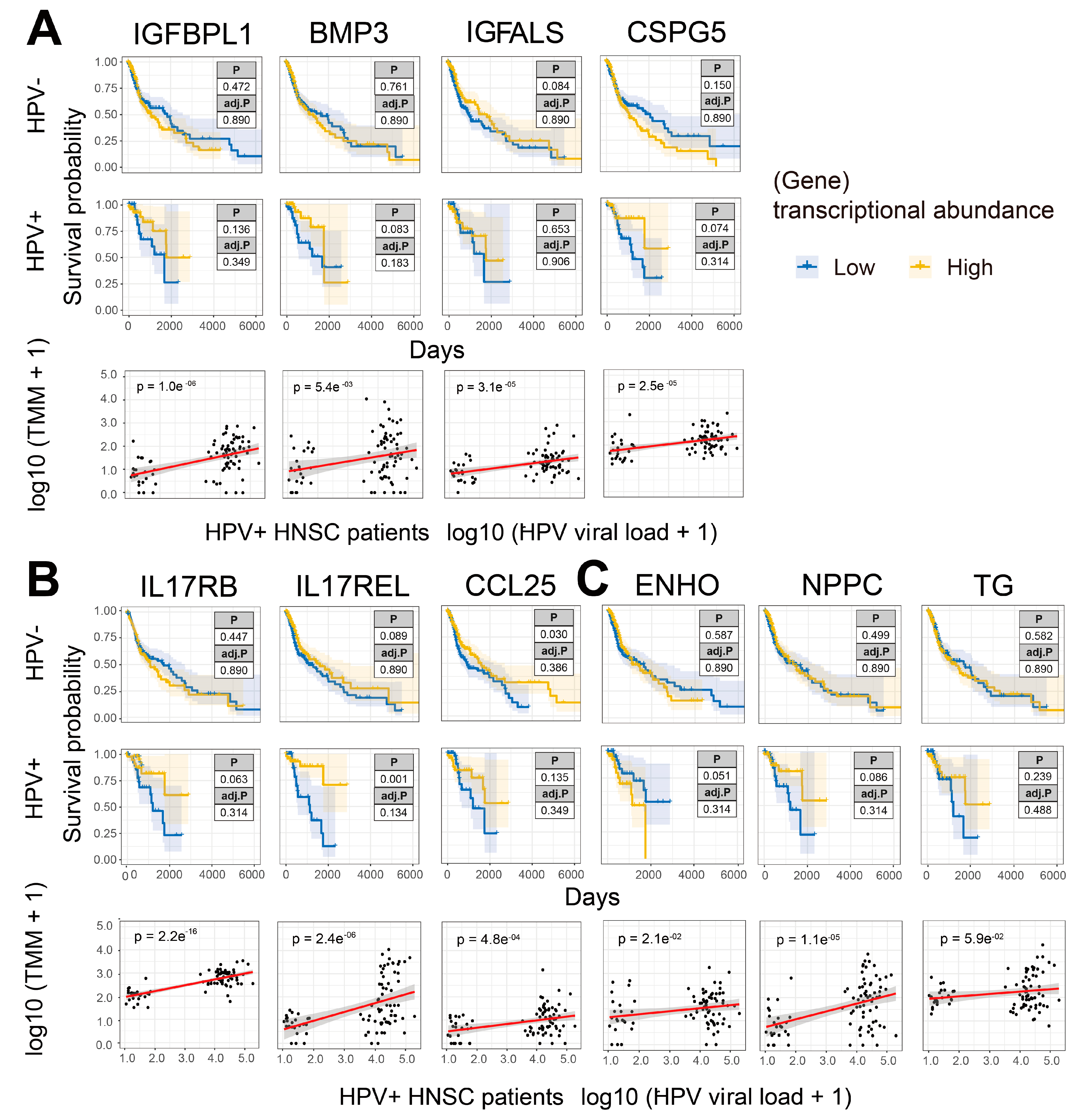 Pathogens 12 00572 g004
