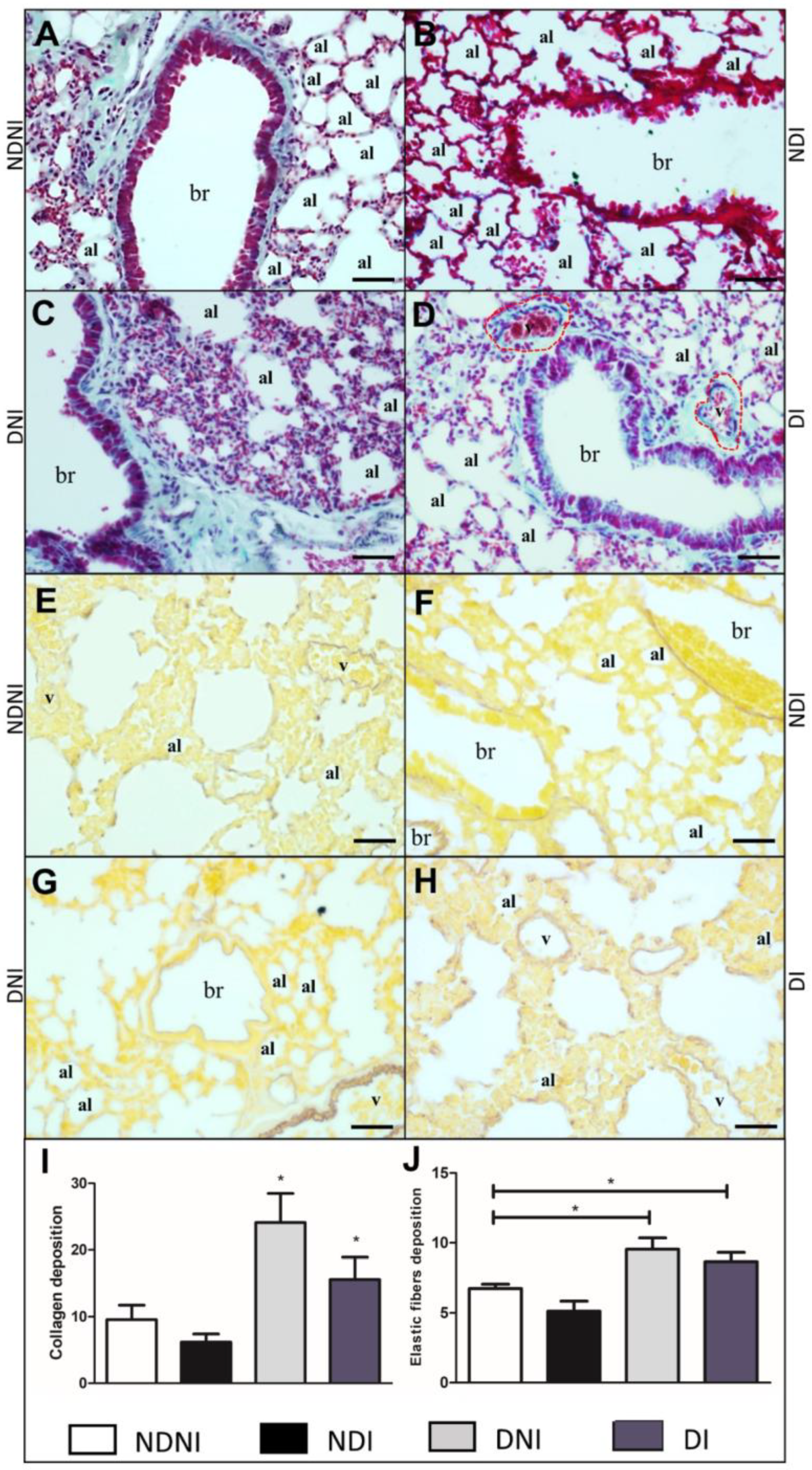 Pathogens 12 00580 g004 Pathogens 12 00580 g004