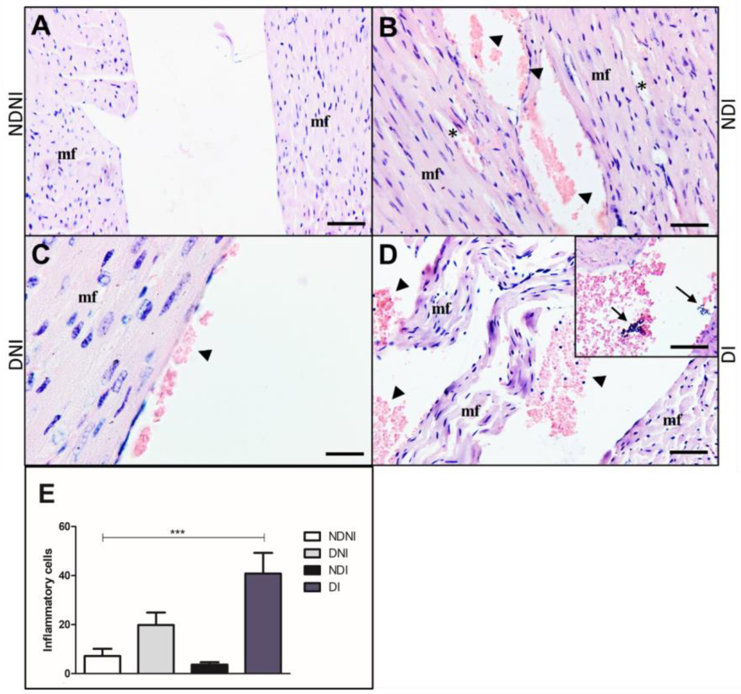Pathogens 12 00580 g005 Pathogens 12 00580 g005