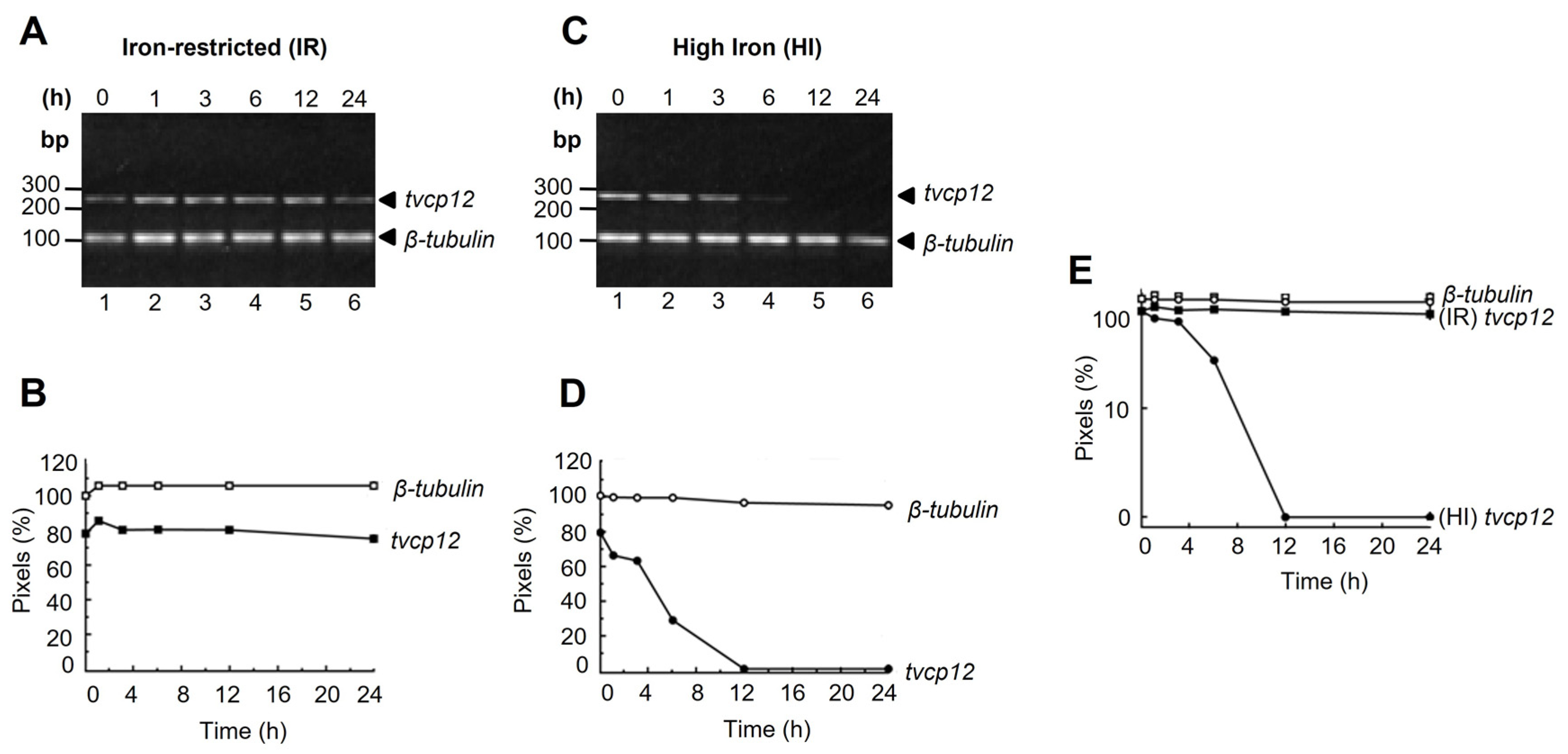 Pathogens 12 00586 g001