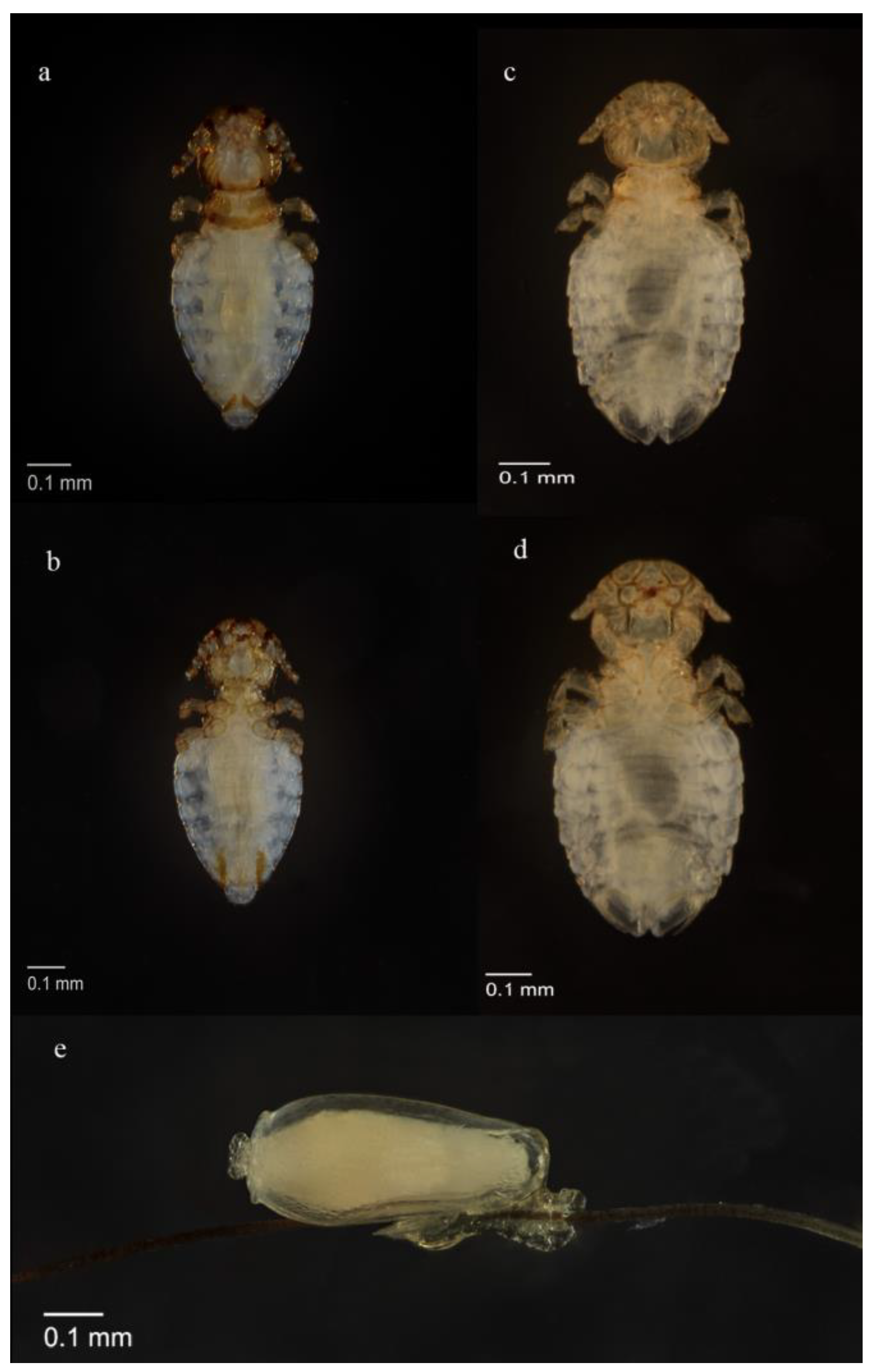 Pathogens 12 00587 g002