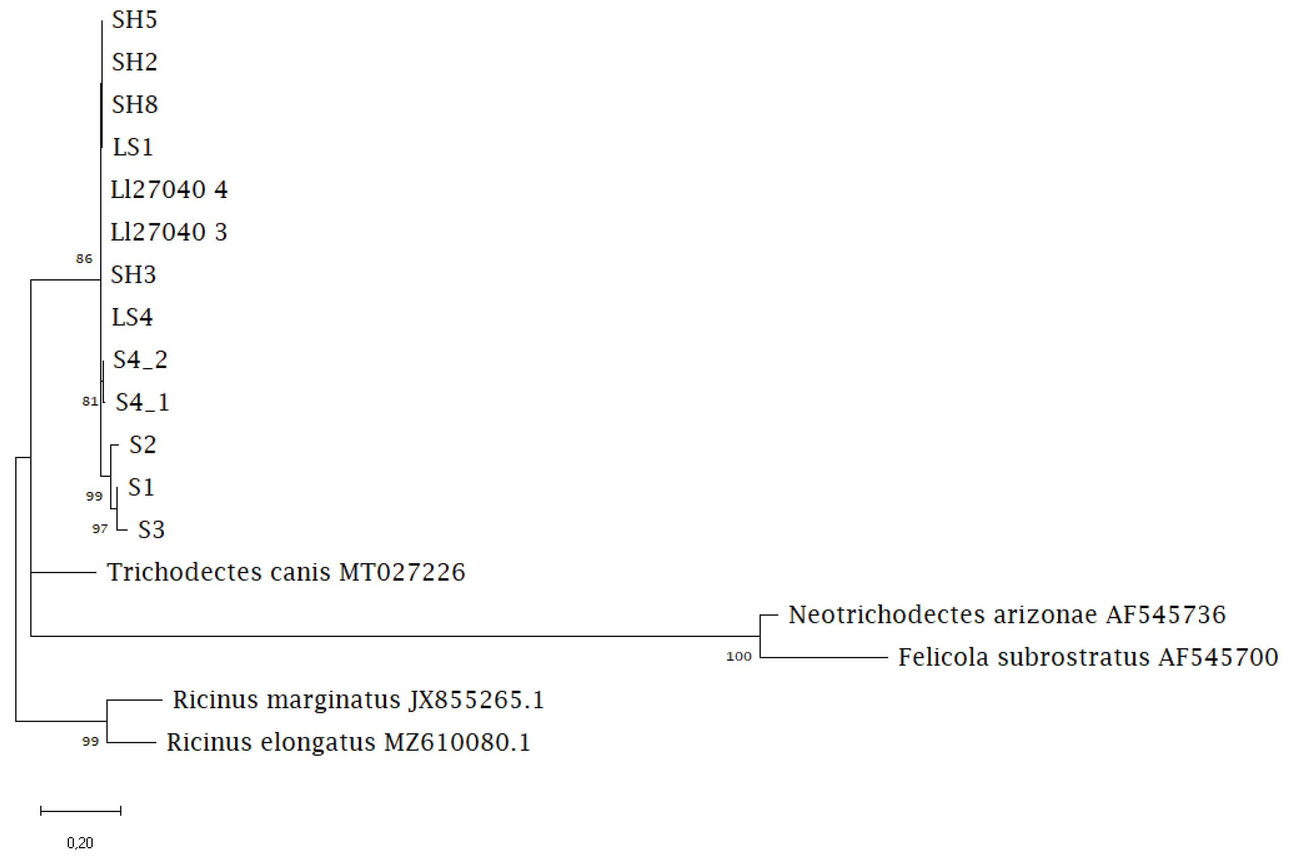 Pathogens 12 00587 g003