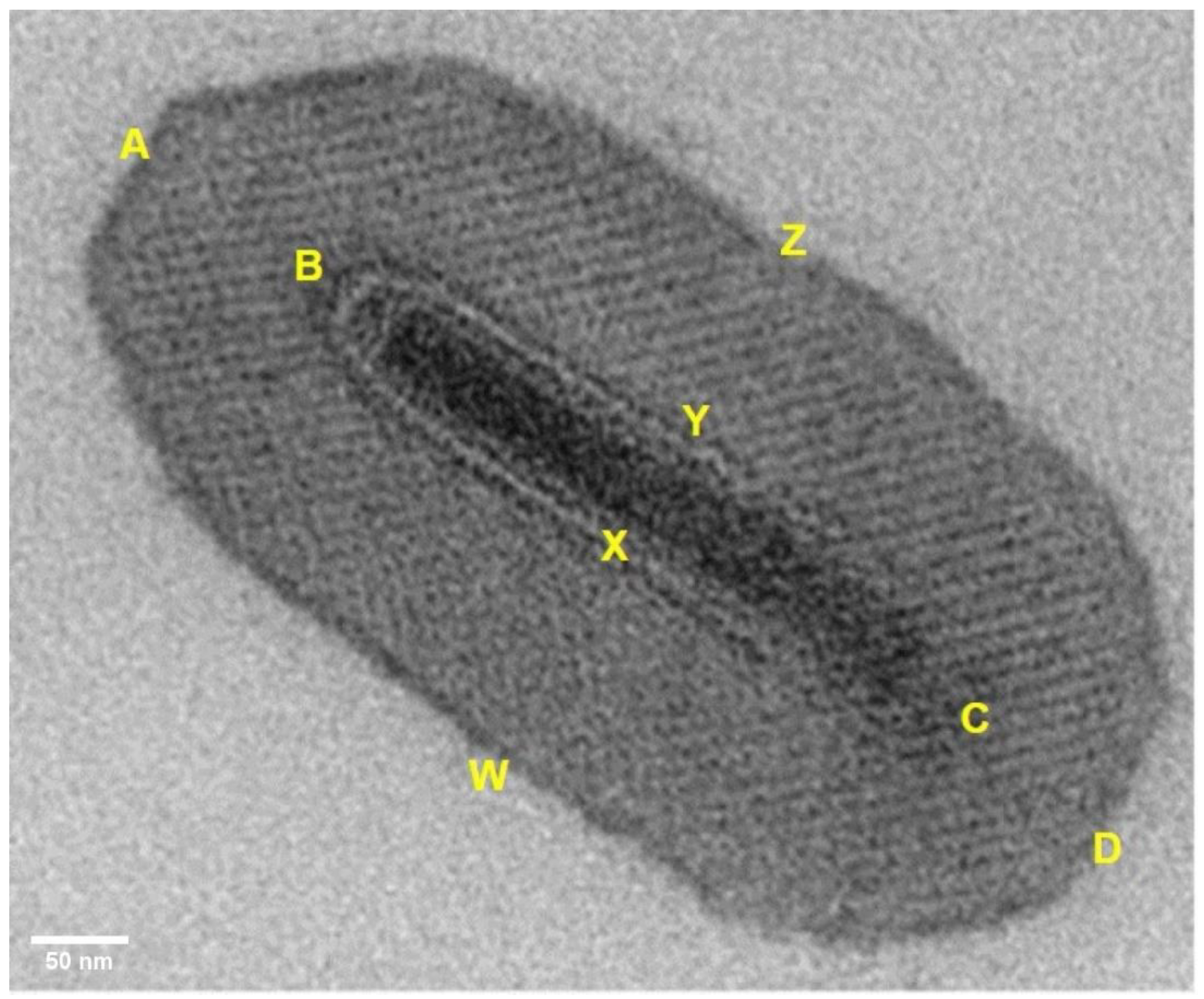 Pathogens 12 00590 g001 Pathogens 12 00590 g001