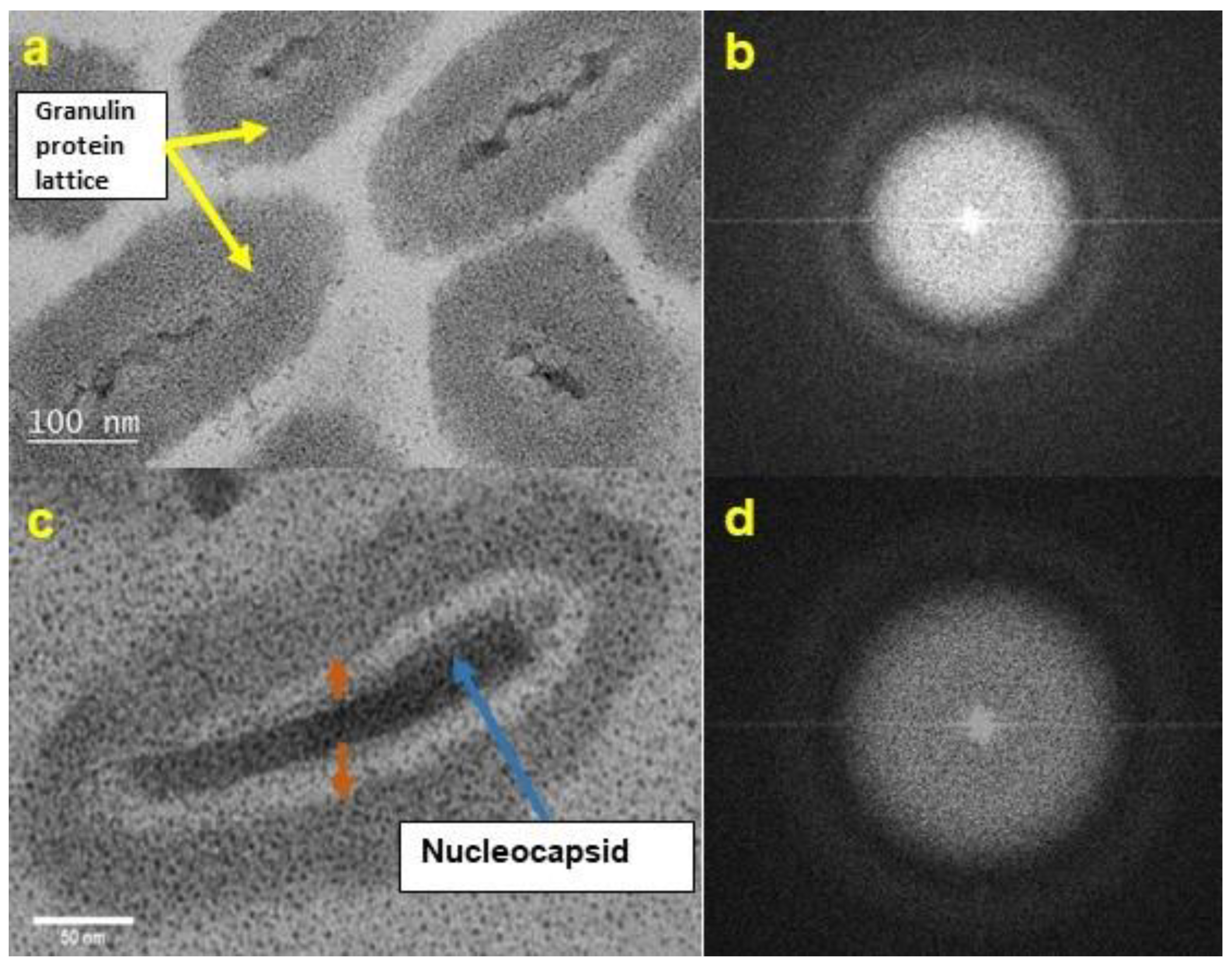 Pathogens 12 00590 g003 Pathogens 12 00590 g003