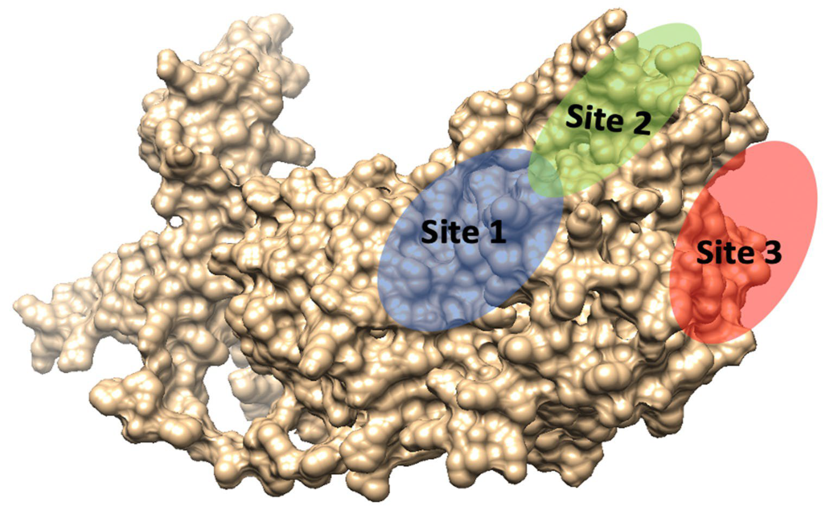 Pathogens 12 00591 g005 Pathogens 12 00591 g005