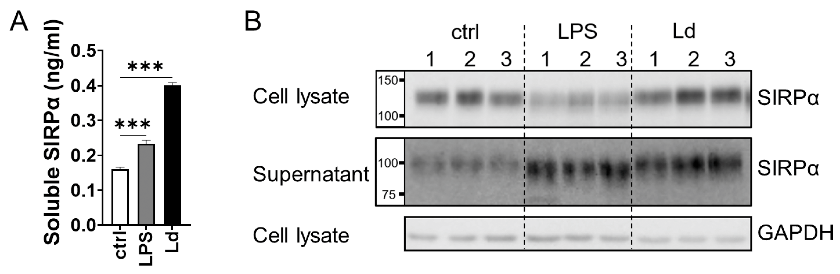 Pathogens 12 00593 g002 Pathogens 12 00593 g002