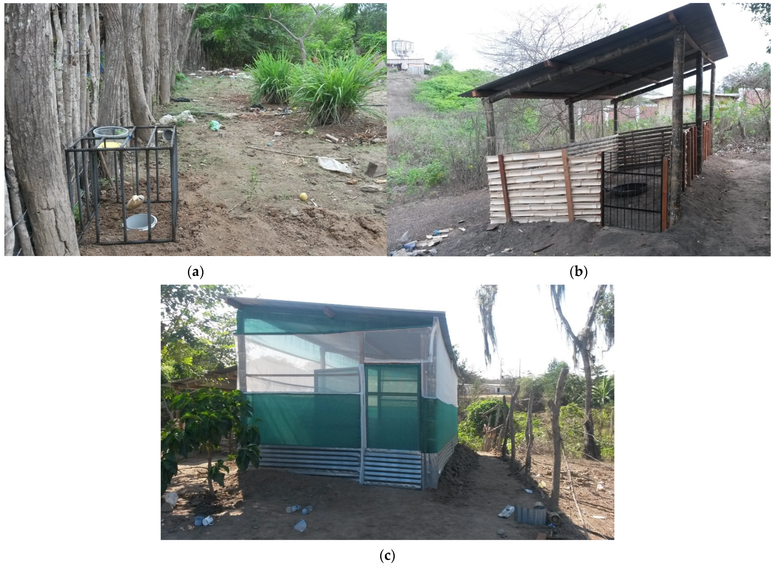 Pathogens 12 00597 g001