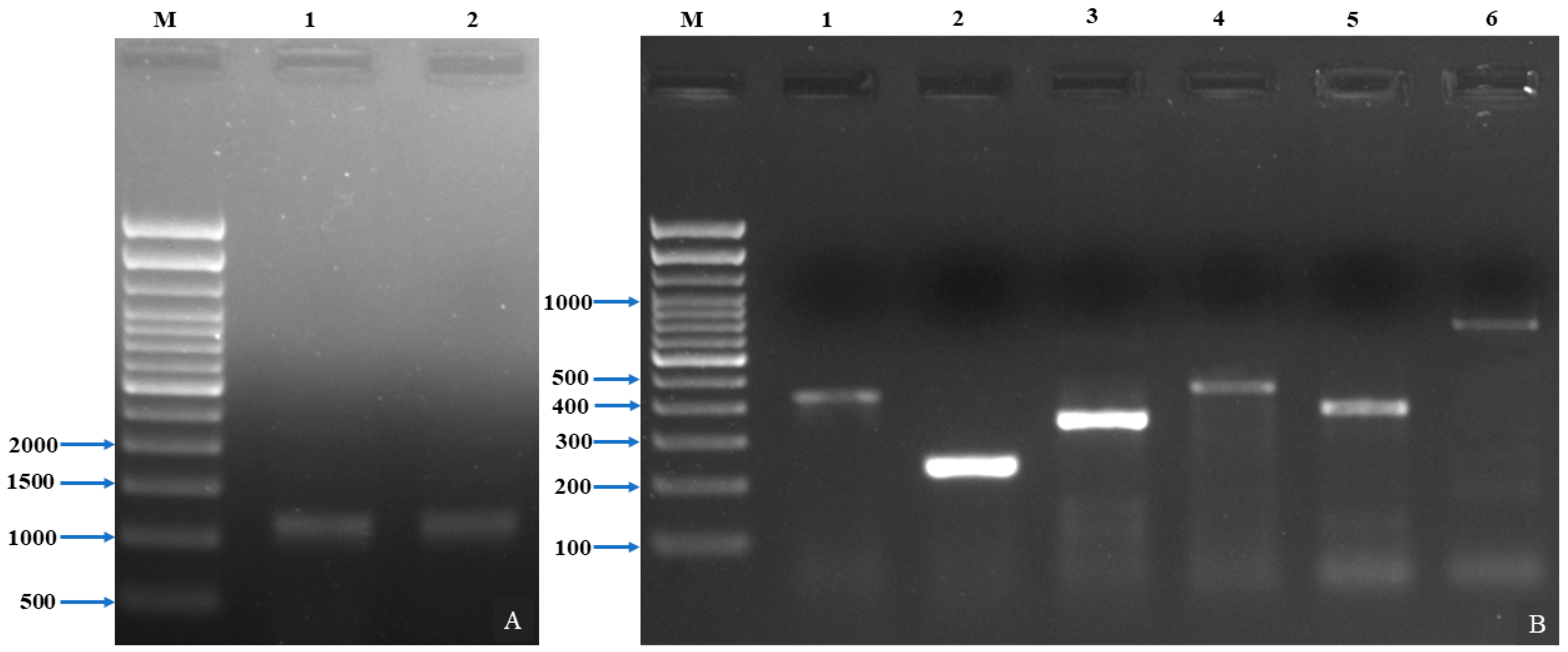 Pathogens 12 00598 g003