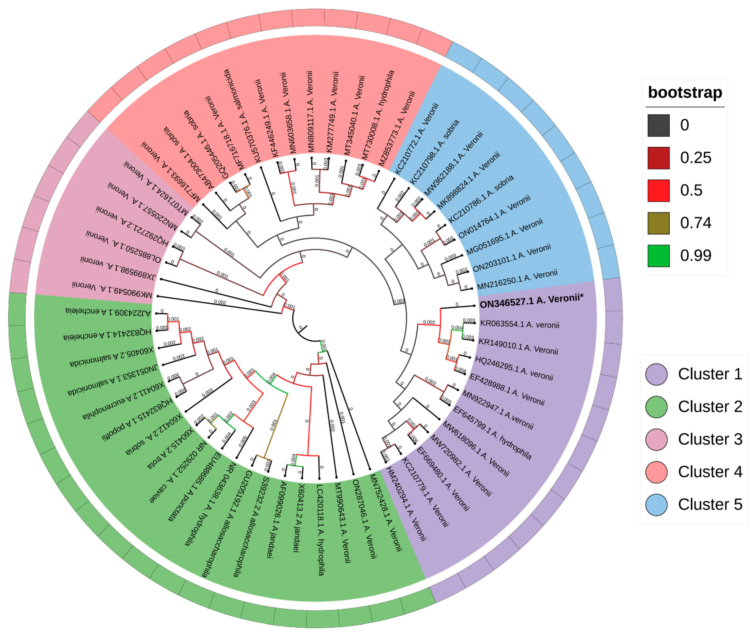 Pathogens 12 00598 g004