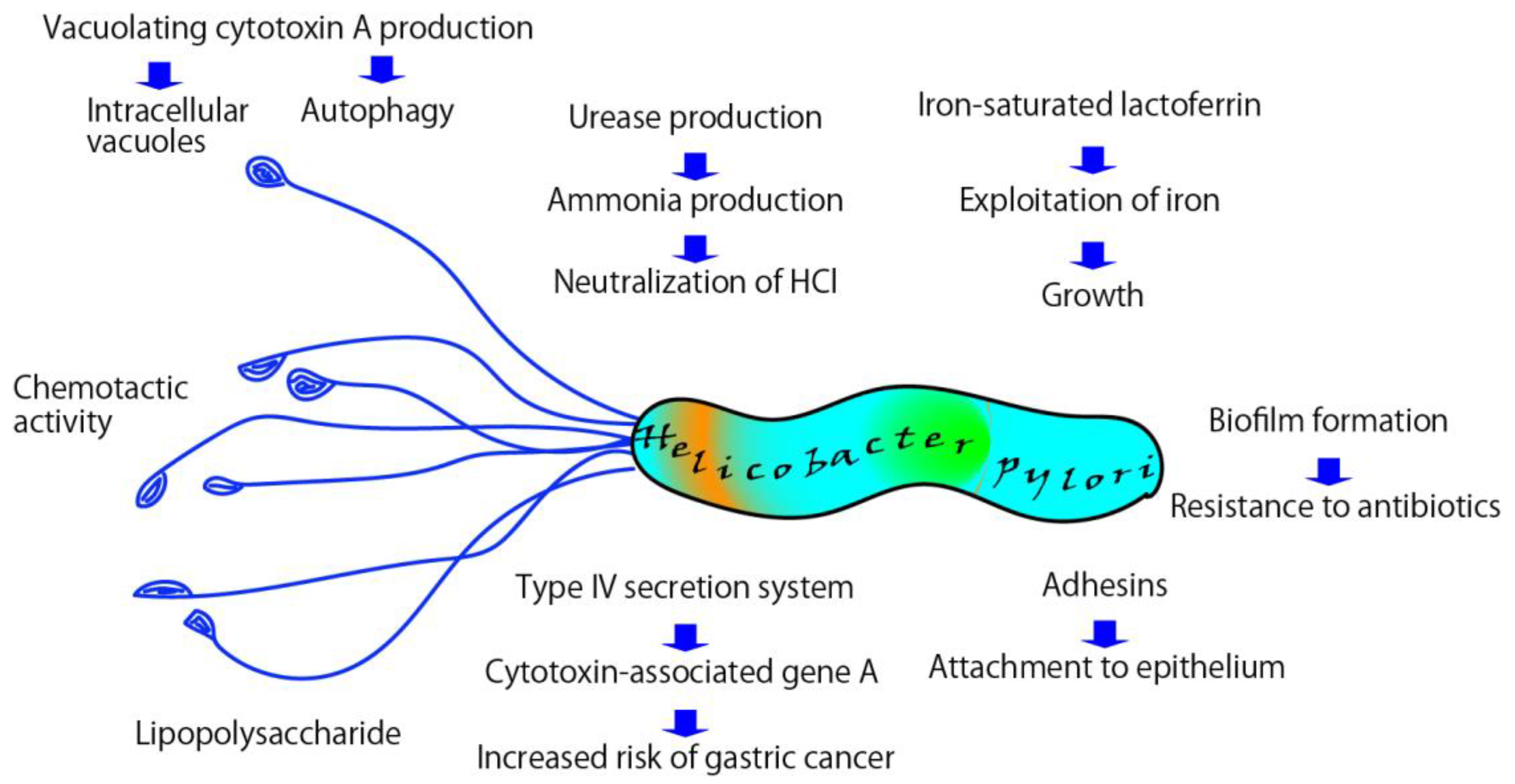 Pathogens 12 00599 g002