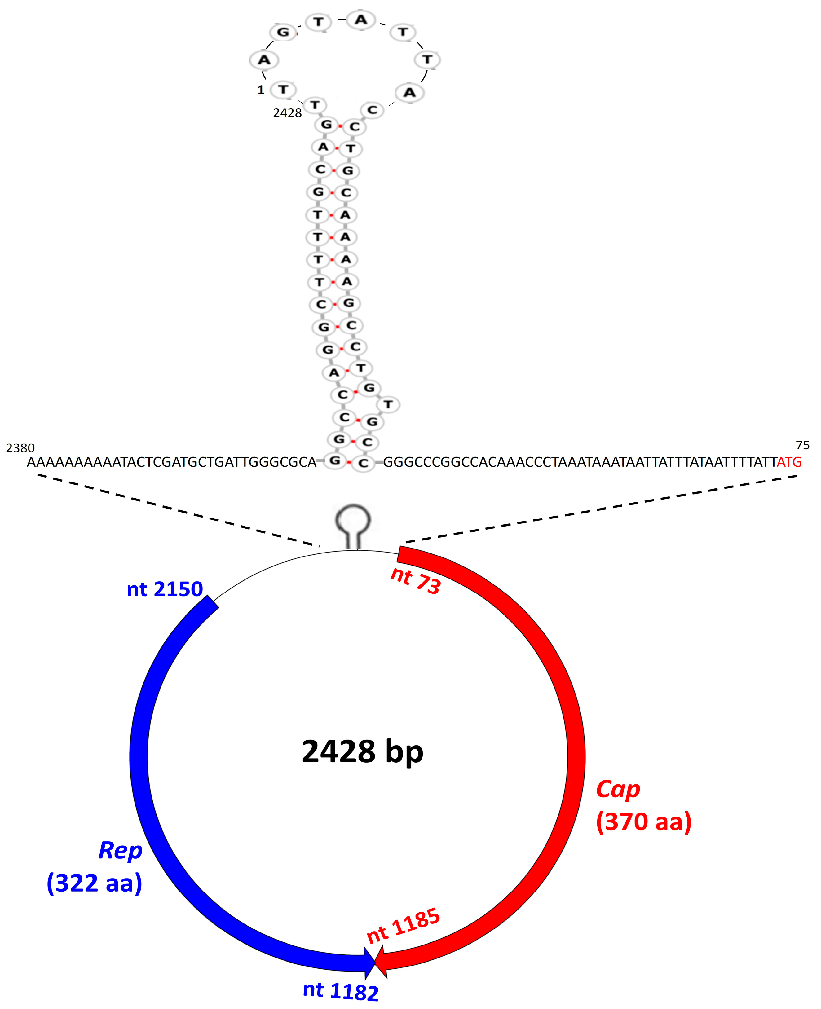Pathogens 12 00601 g003 Pathogens 12 00601 g003