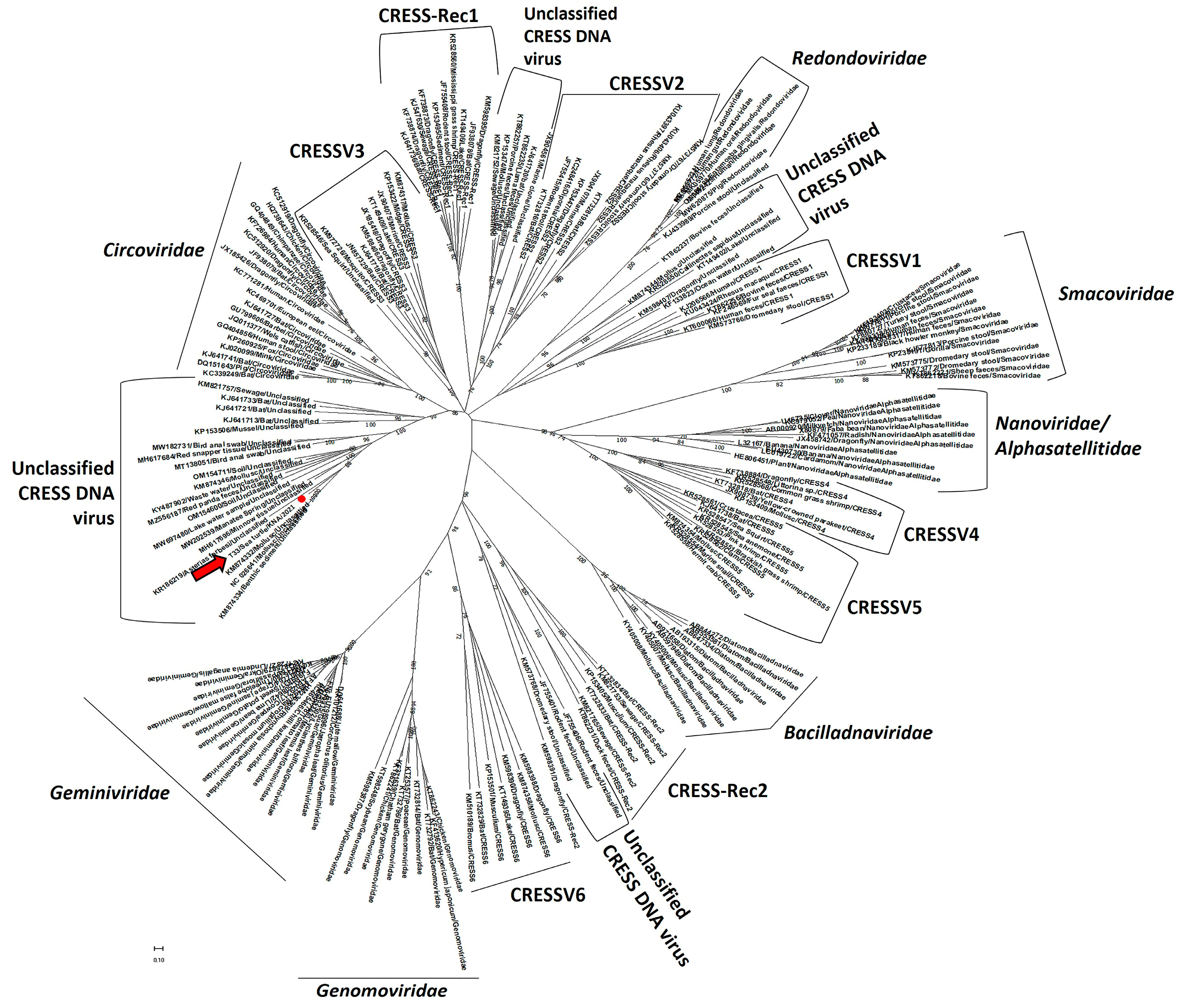 Pathogens 12 00601 g005 Pathogens 12 00601 g005