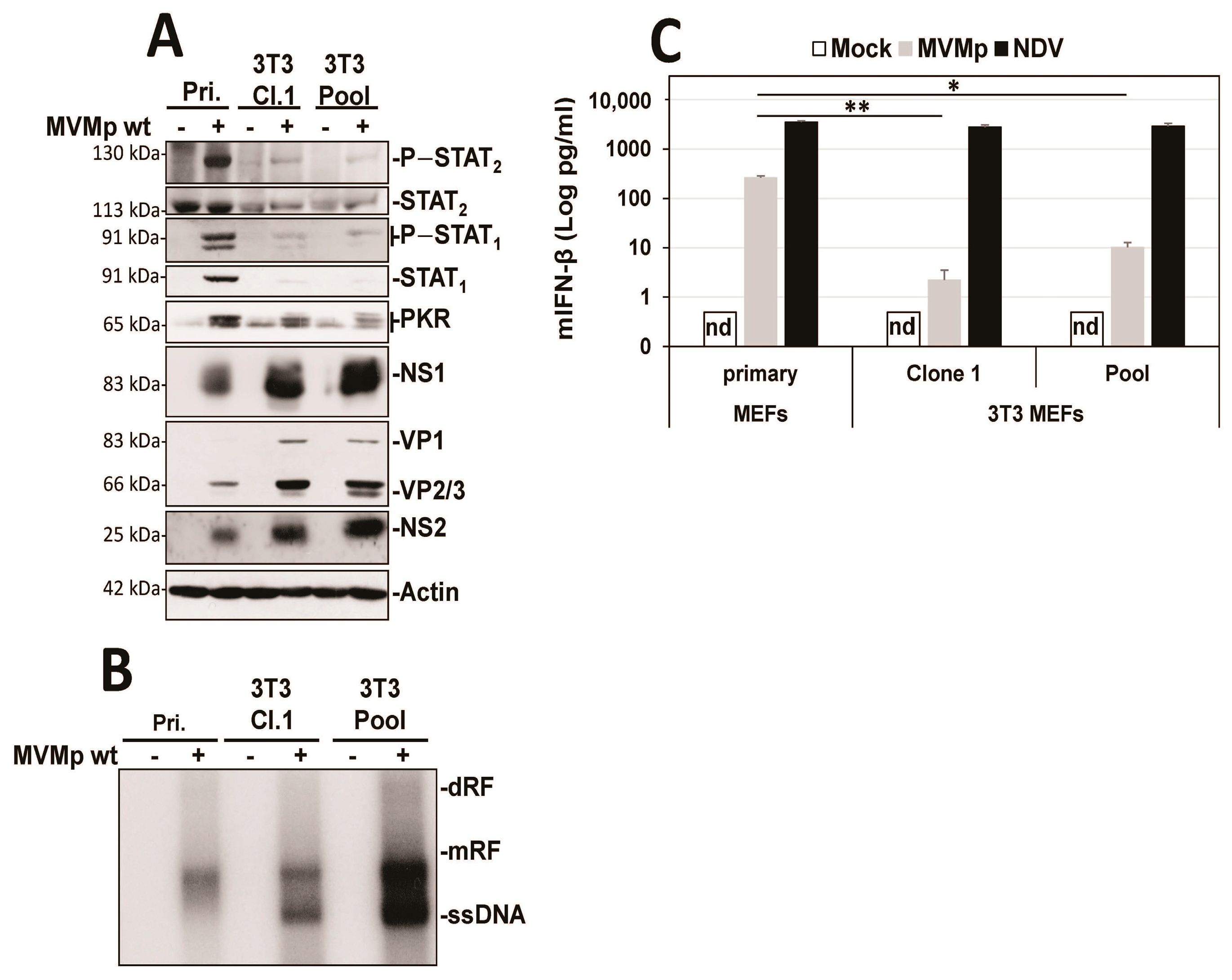Pathogens 12 00607 g001 Pathogens 12 00607 g001