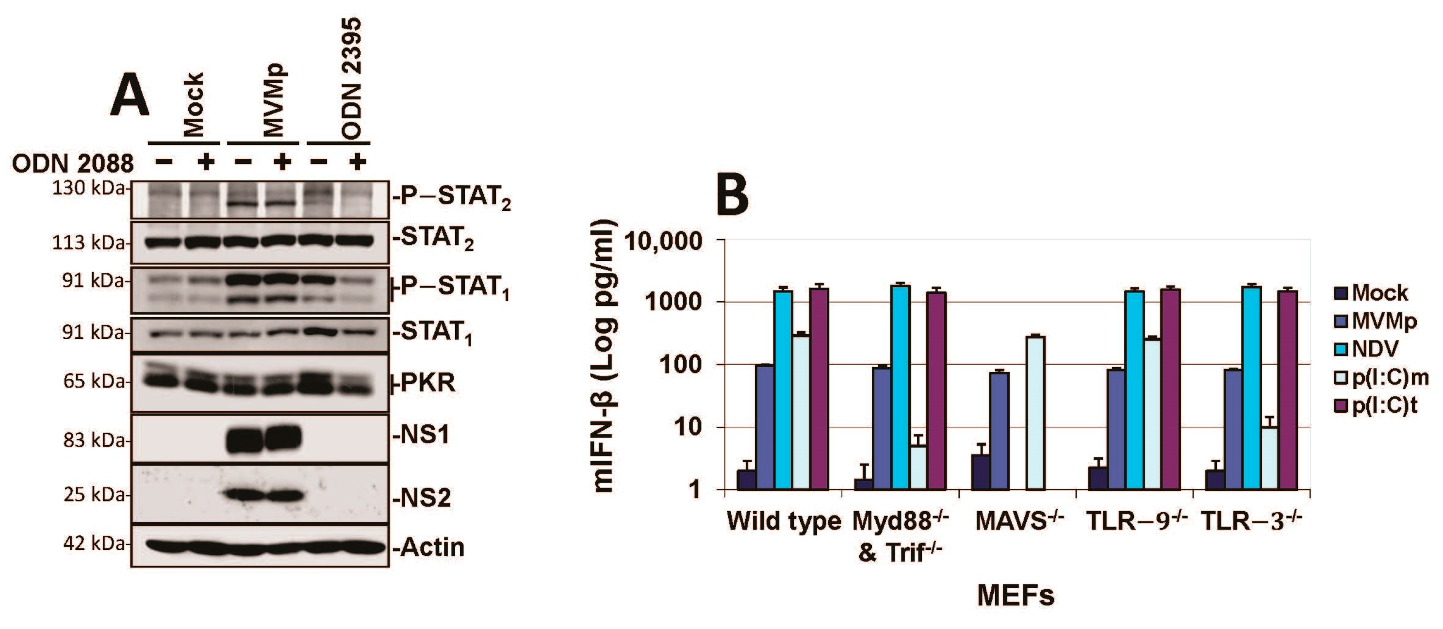 Pathogens 12 00607 g004 Pathogens 12 00607 g004