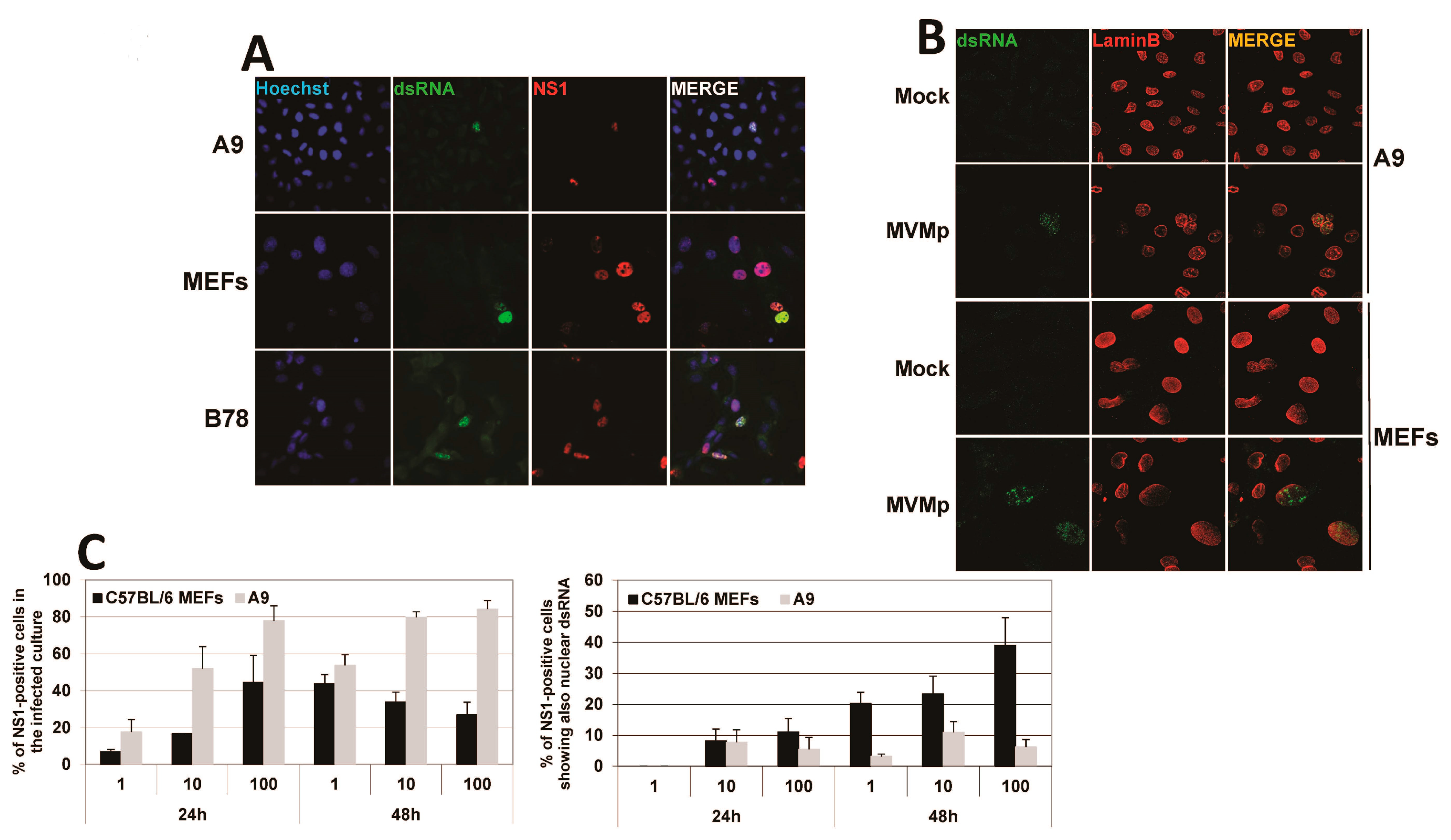 Pathogens 12 00607 g006 Pathogens 12 00607 g006