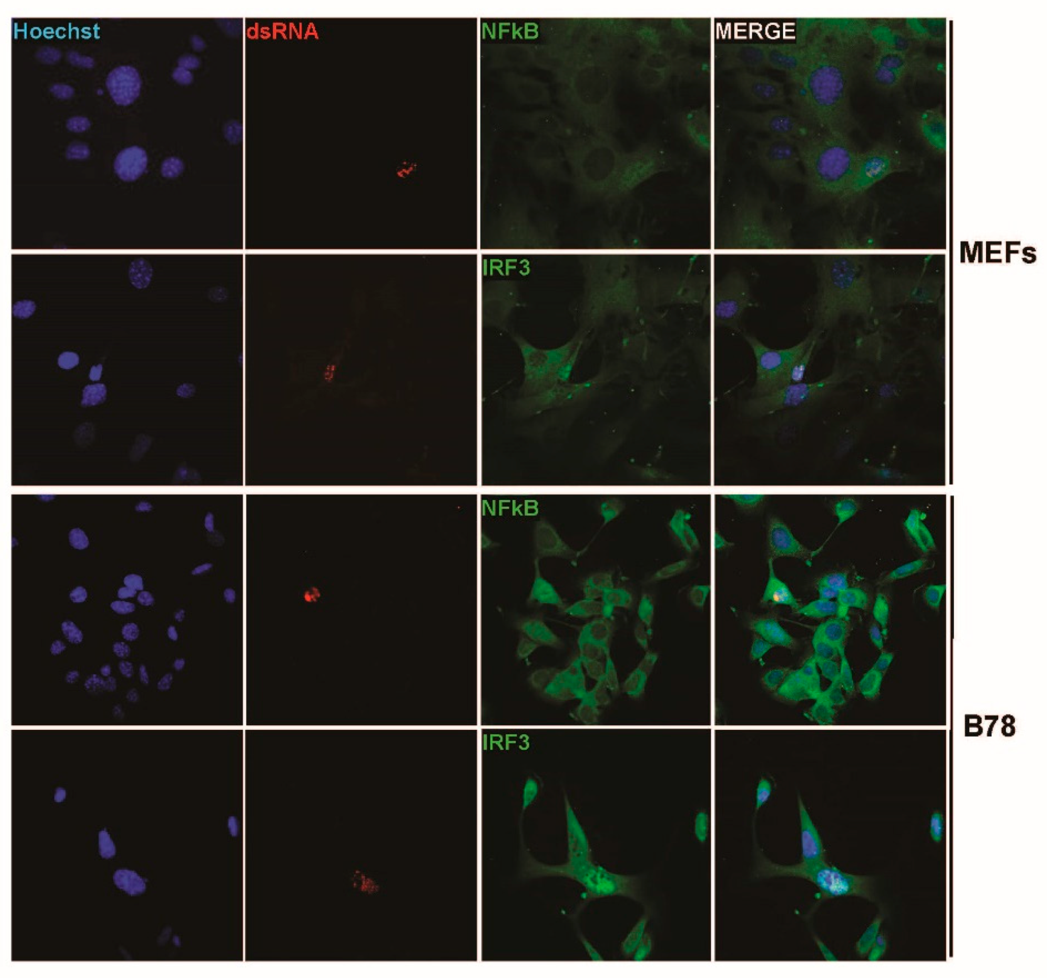Pathogens 12 00607 g007 Pathogens 12 00607 g007