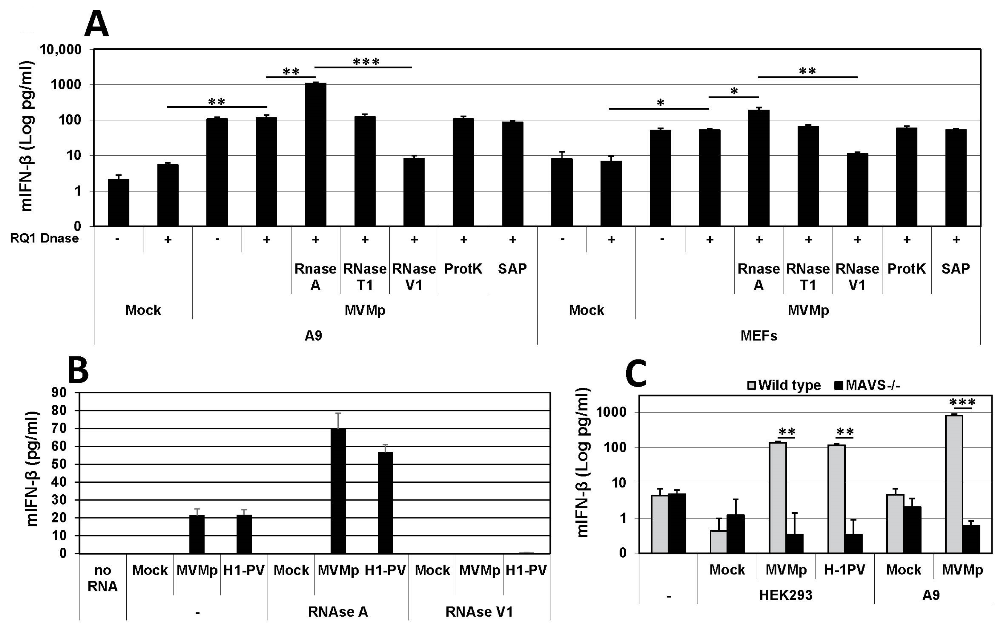 Pathogens 12 00607 g008 Pathogens 12 00607 g008