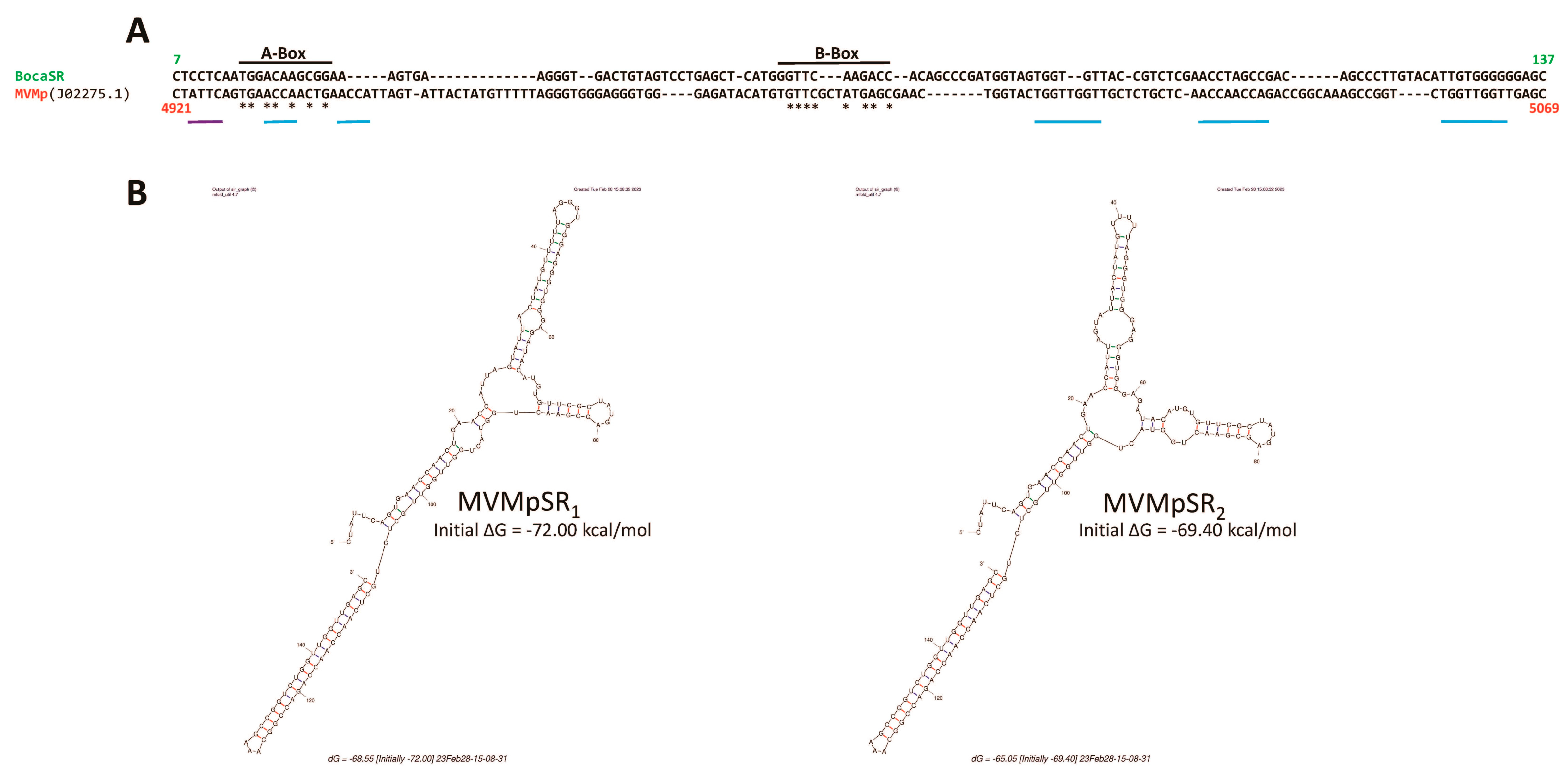 Pathogens 12 00607 g009 Pathogens 12 00607 g009