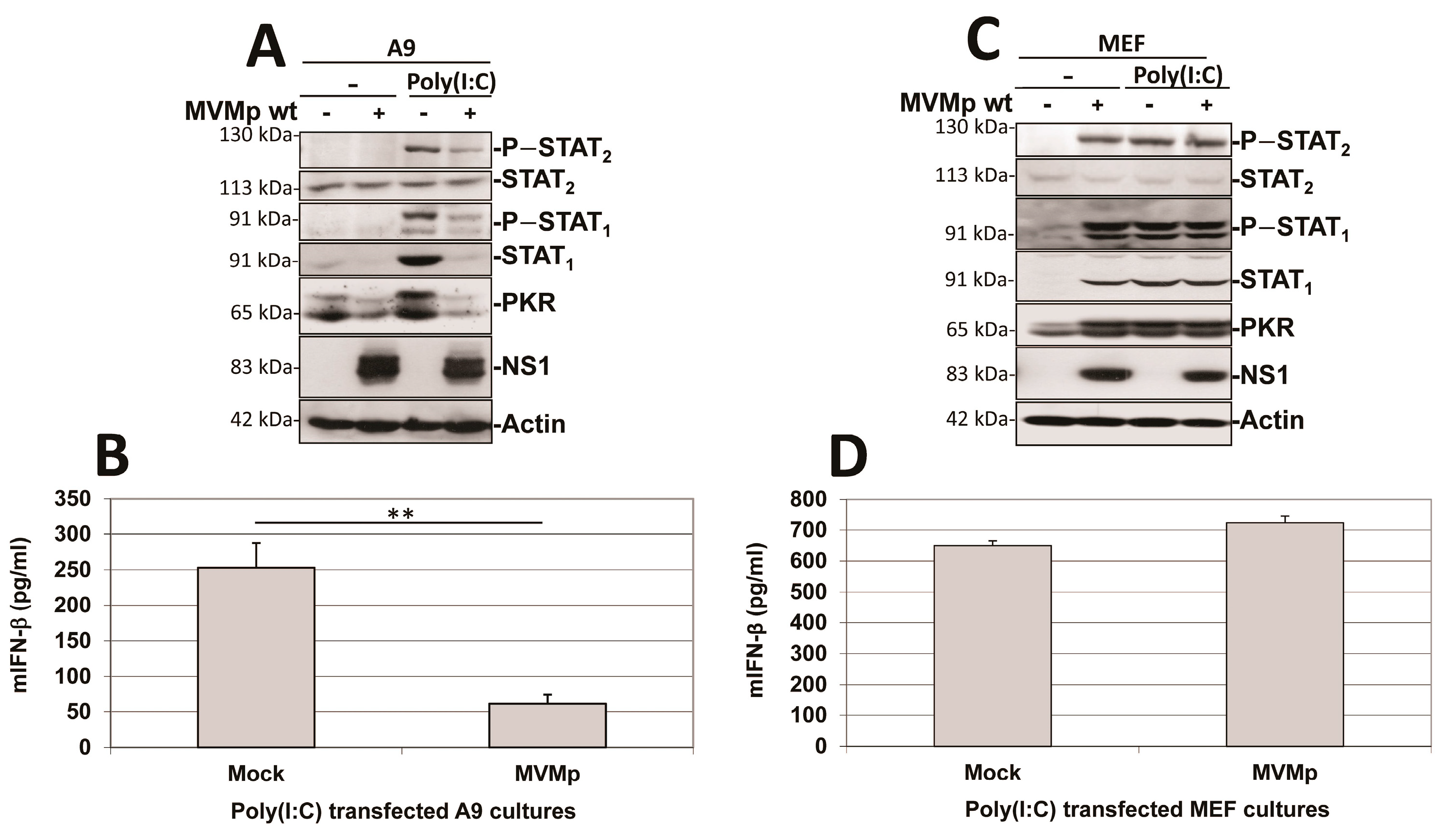 Pathogens 12 00607 g011 Pathogens 12 00607 g011