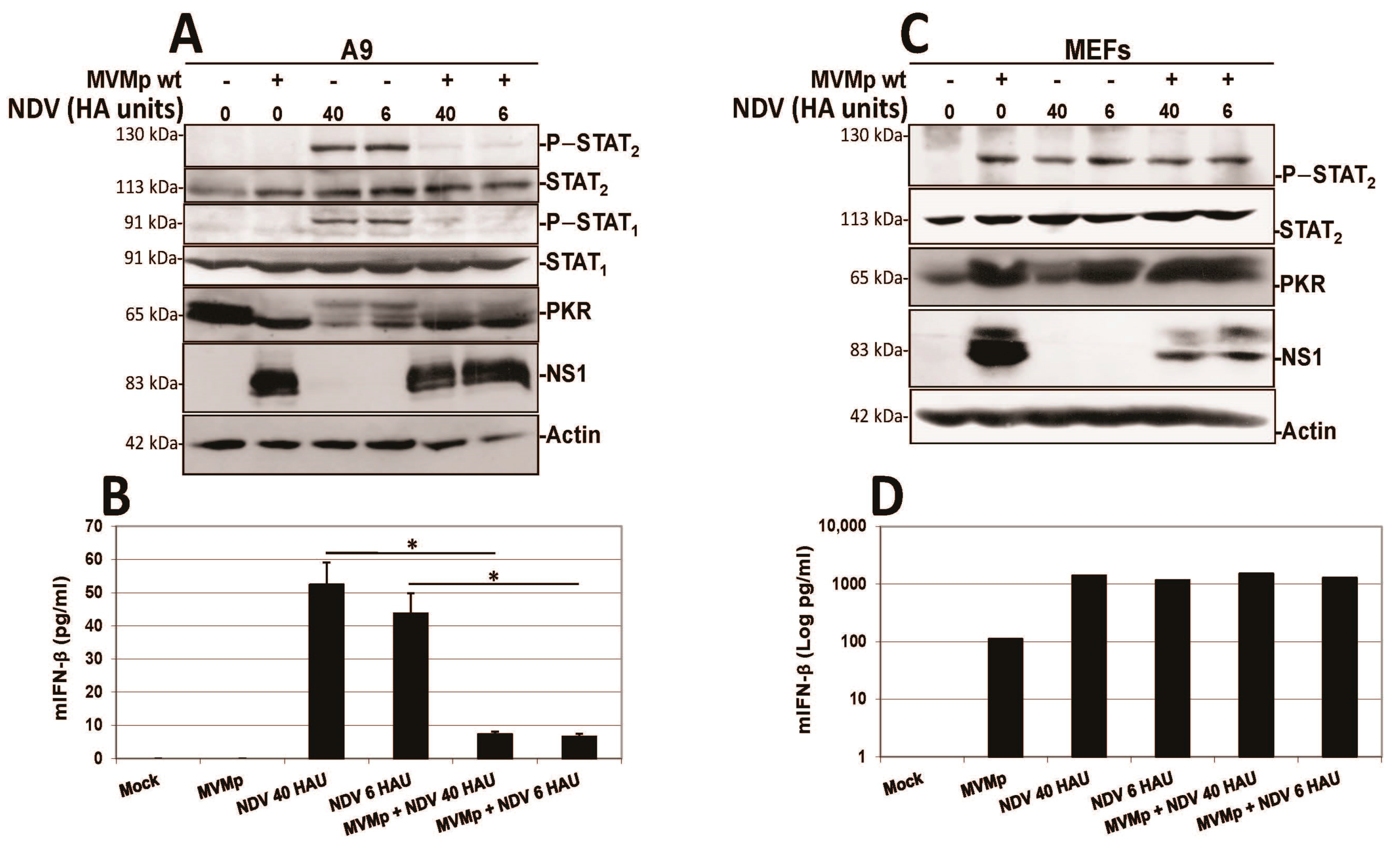Pathogens 12 00607 g012 Pathogens 12 00607 g012