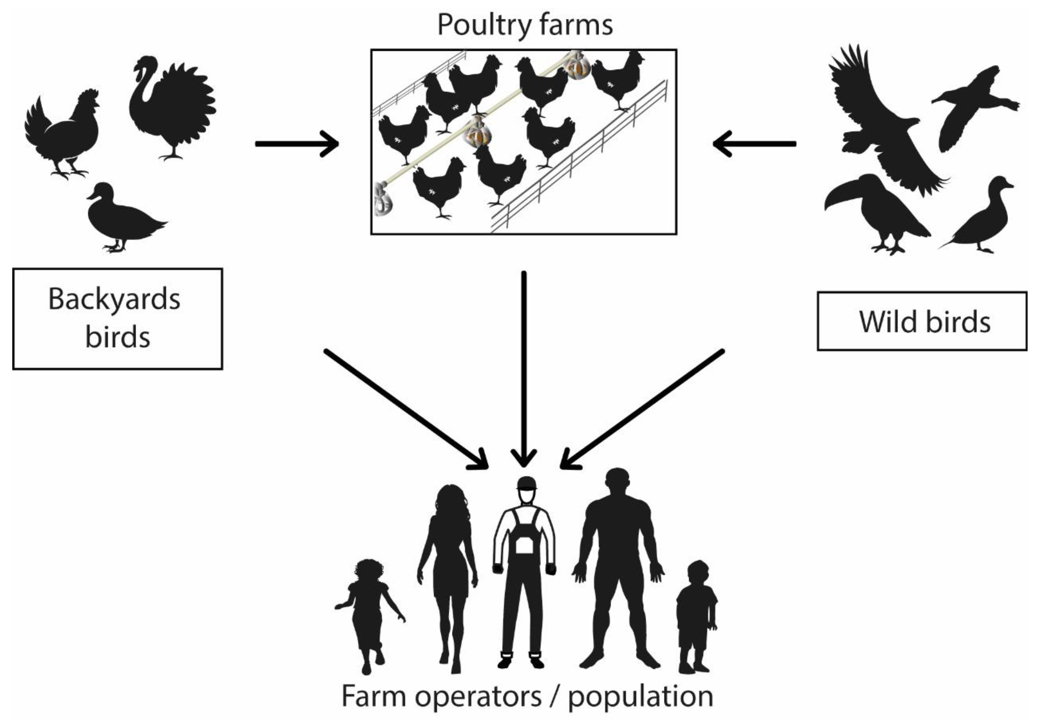 Strategies to Manage an Outbreak for Avian Influenza Encyclopedia MDPI