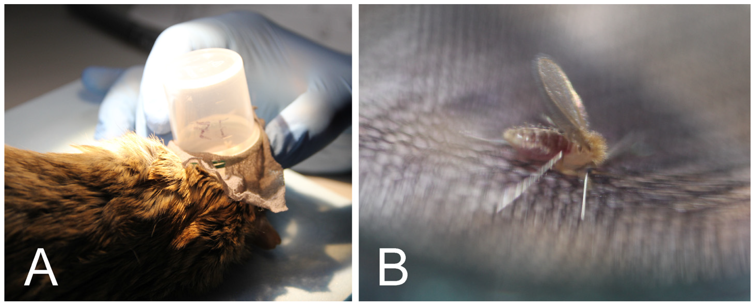 Pathogens 12 00614 g001
