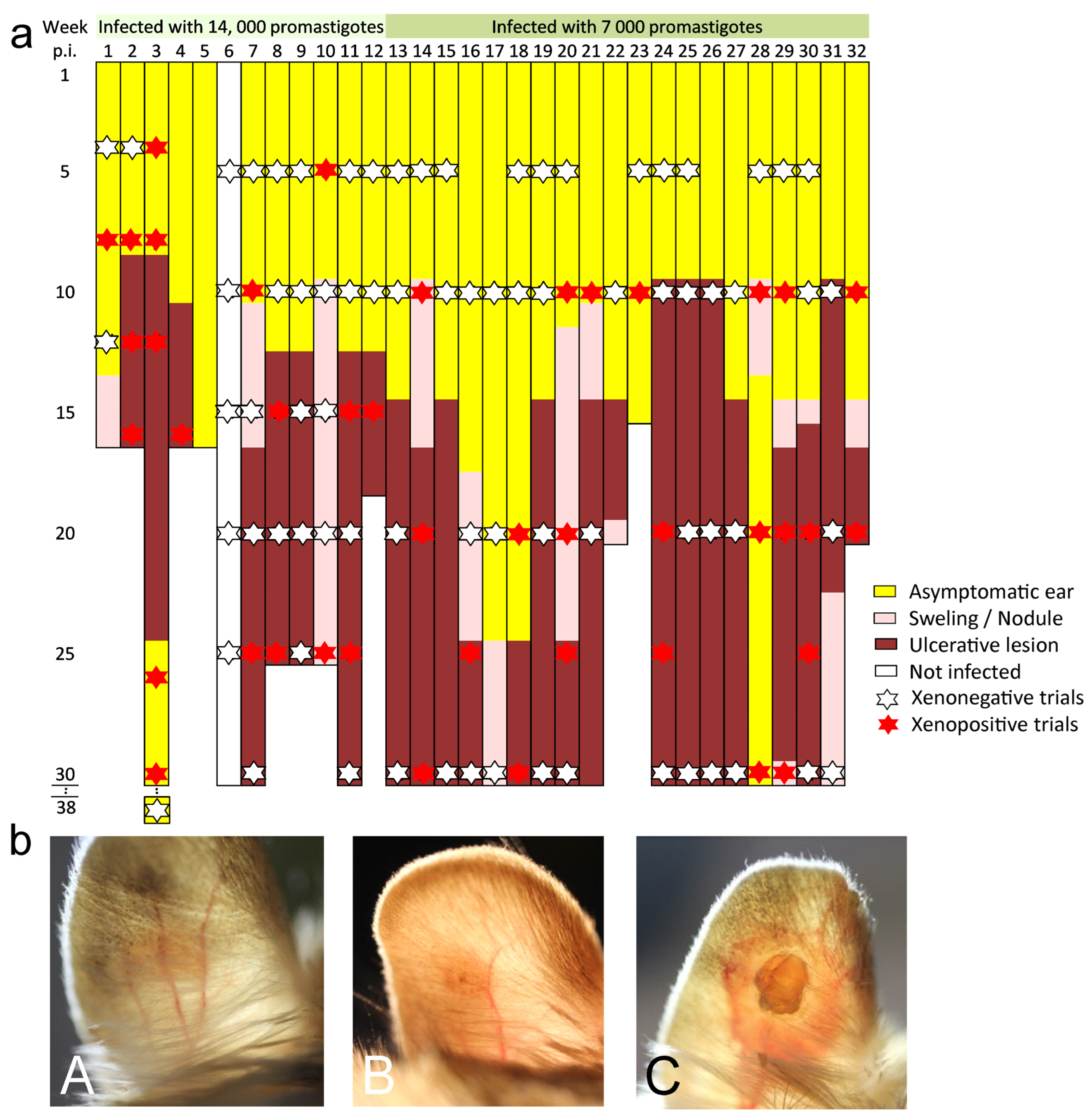 Pathogens 12 00614 g002