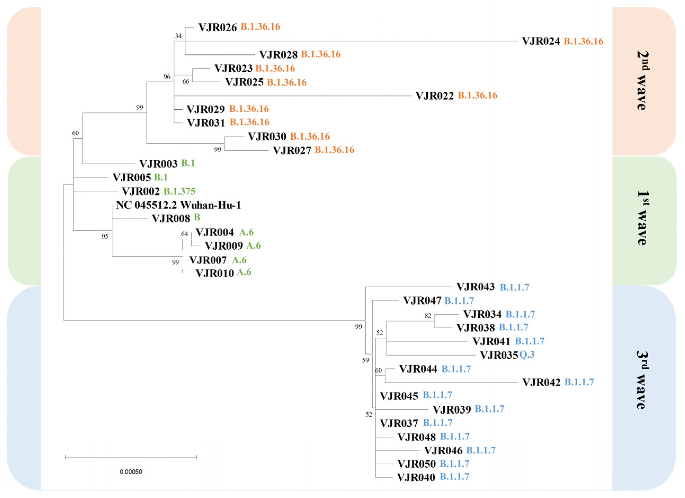 Pathogens 12 00626 g003